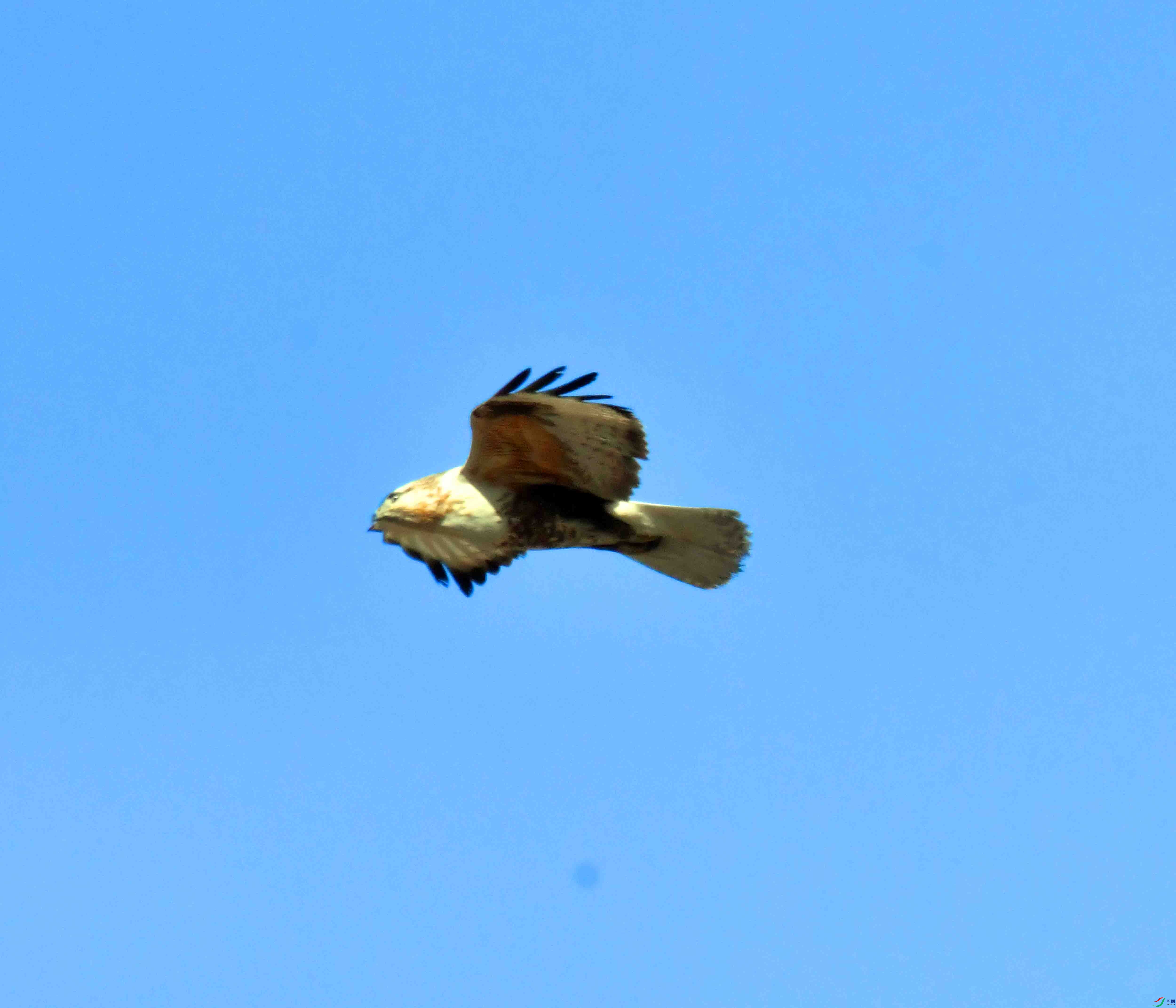 DSC_5241.JPG