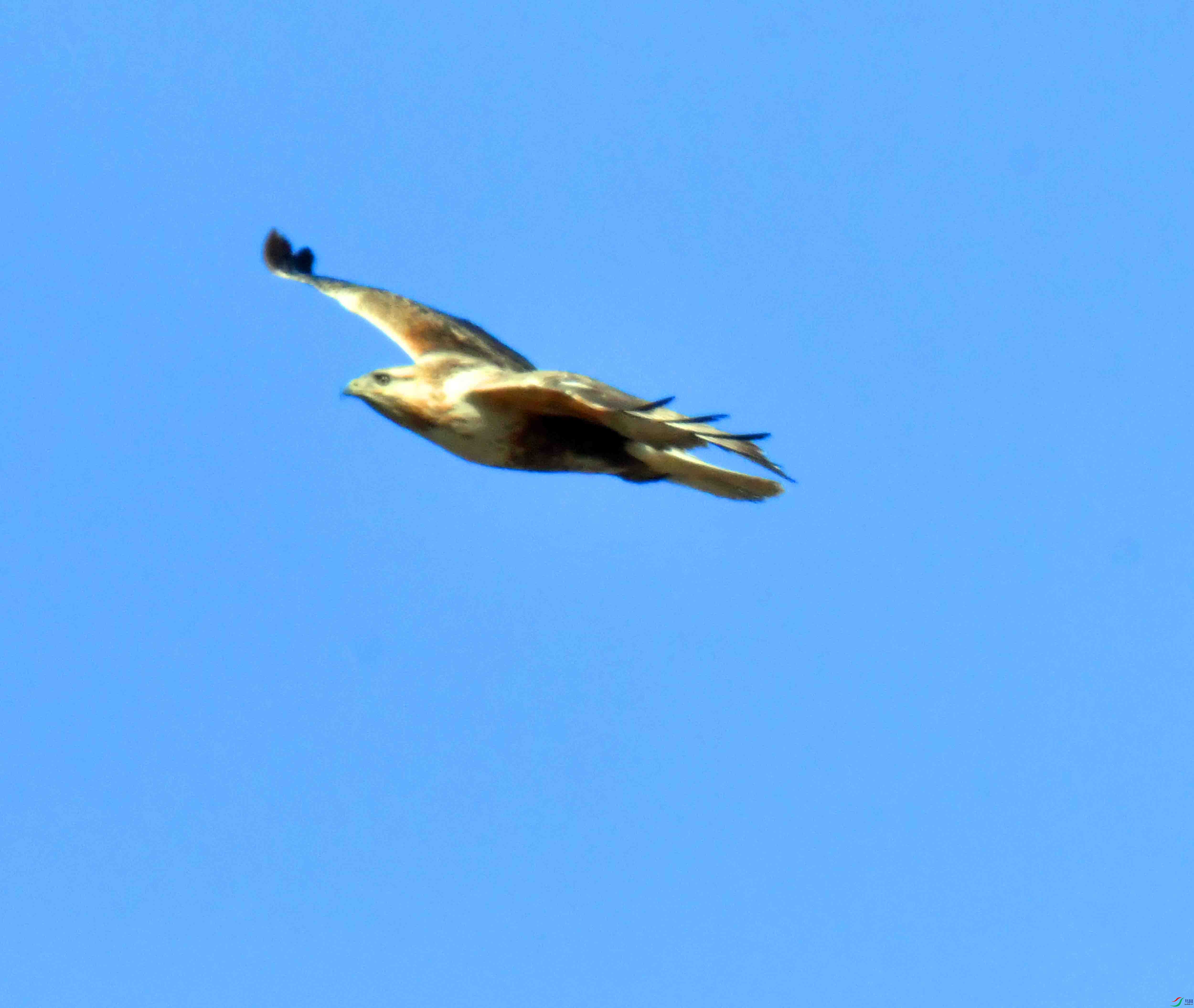 DSC_5245.JPG