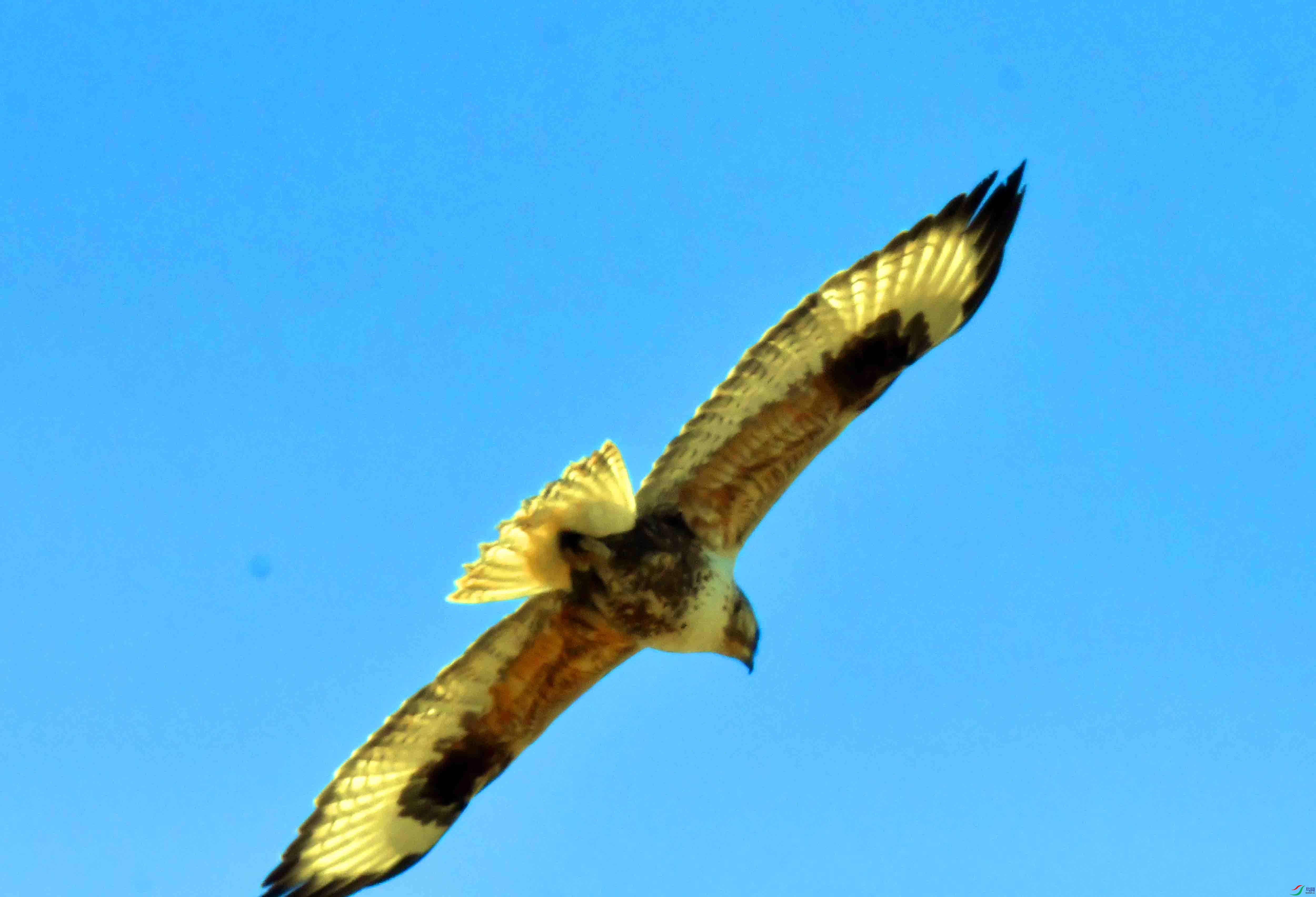 DSC_5246.JPG