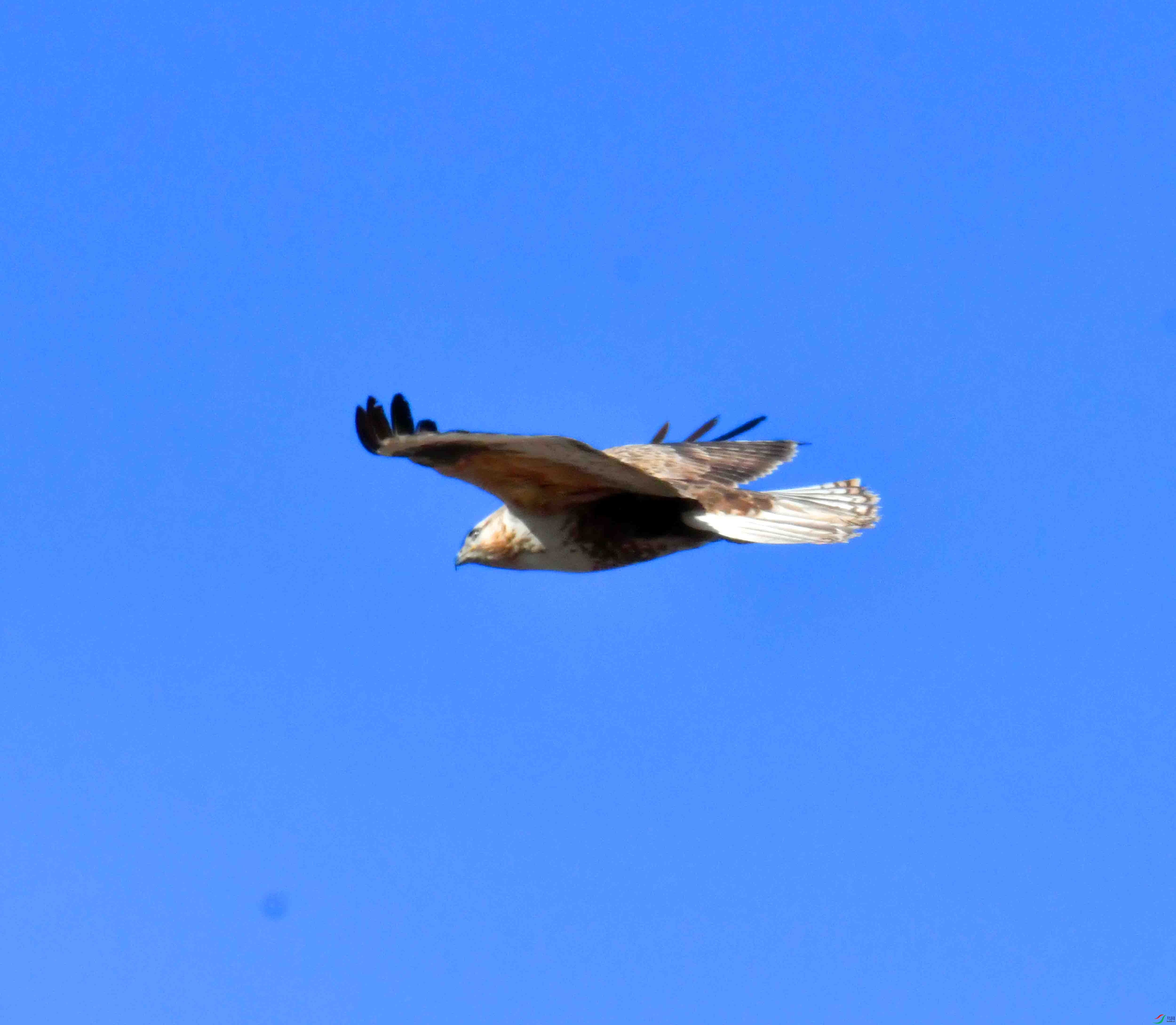 DSC_5251.JPG