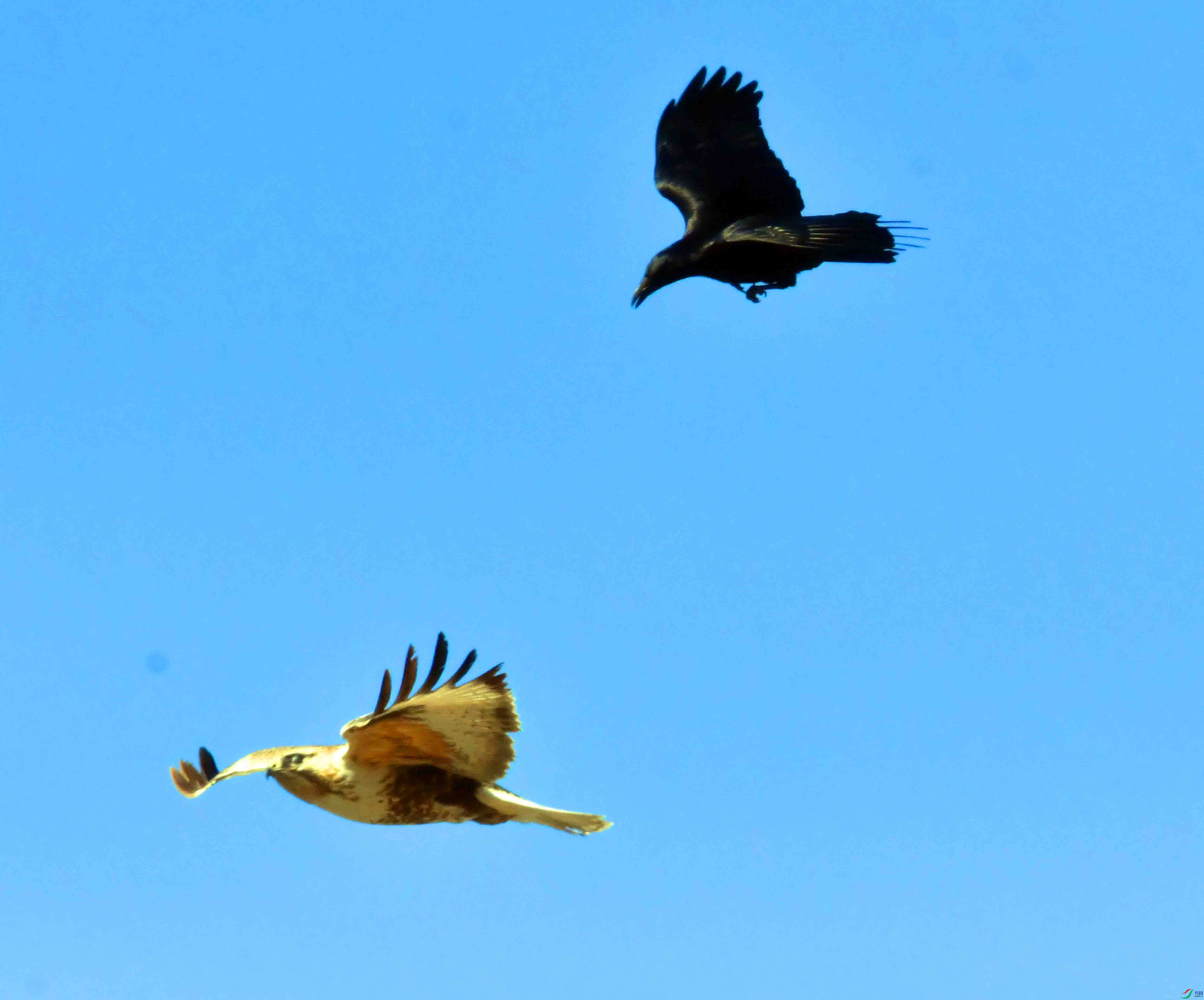 DSC_5253.JPG