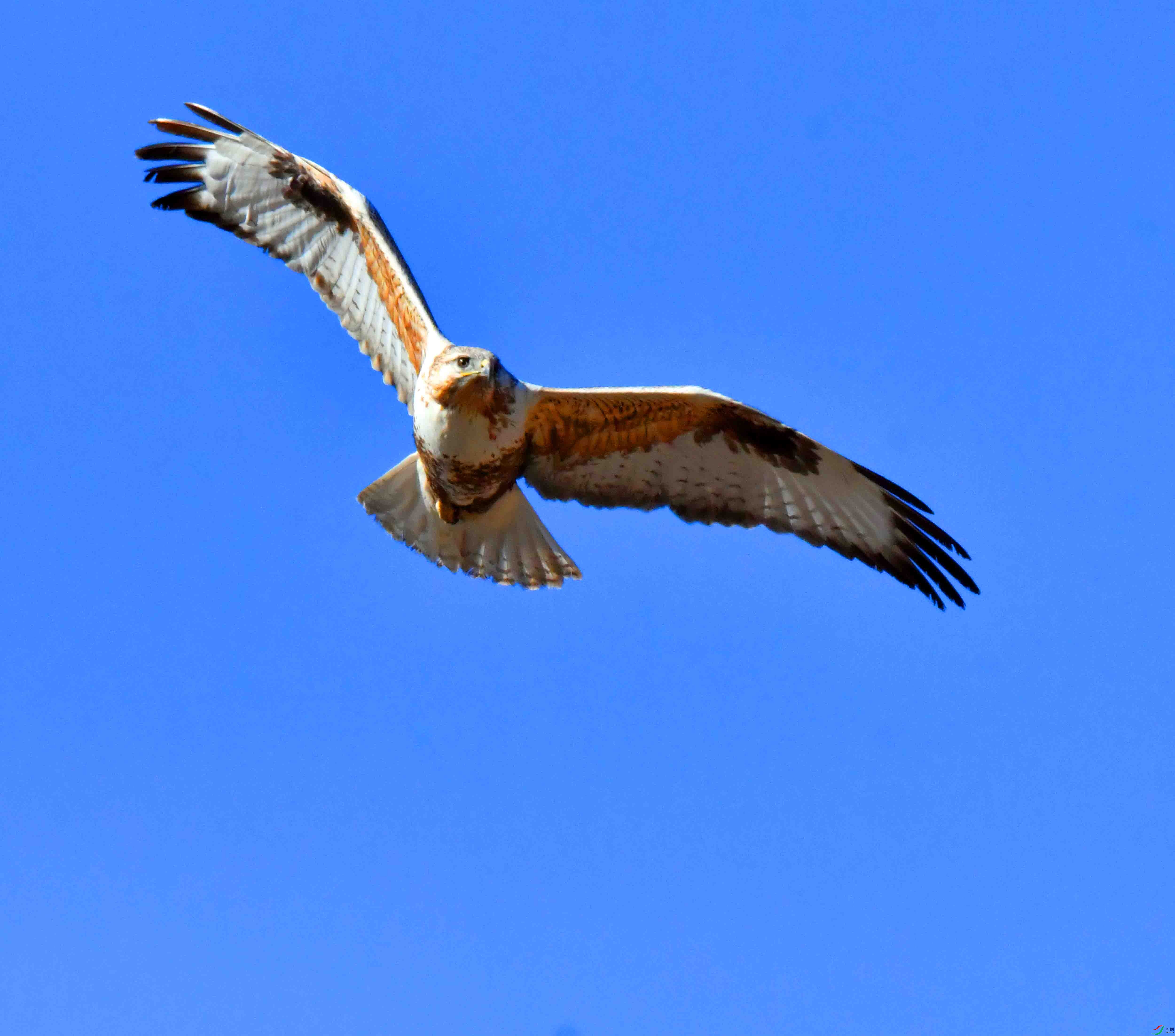 DSC_5255.JPG