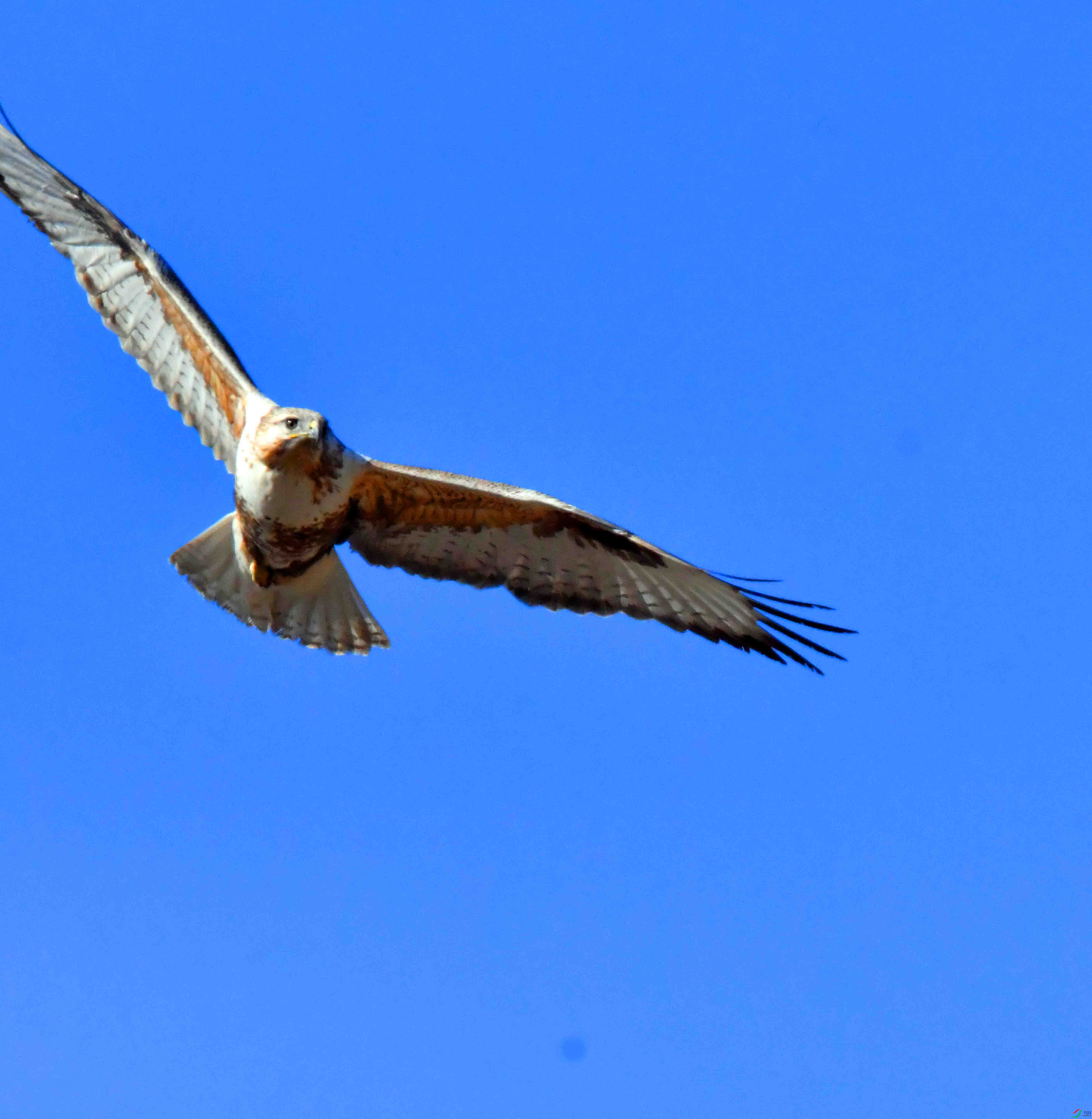 DSC_5256.JPG
