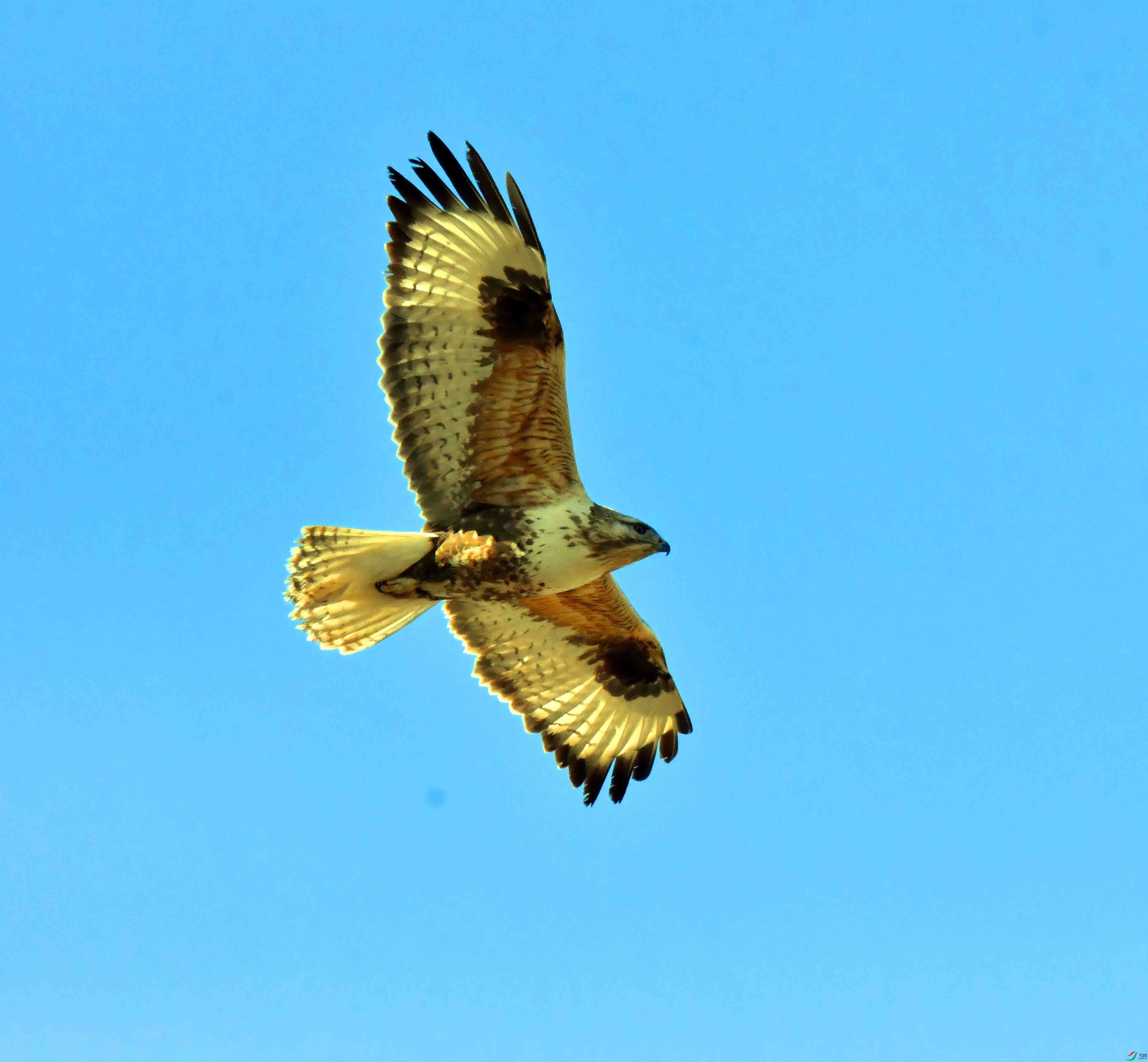 DSC_5259.JPG
