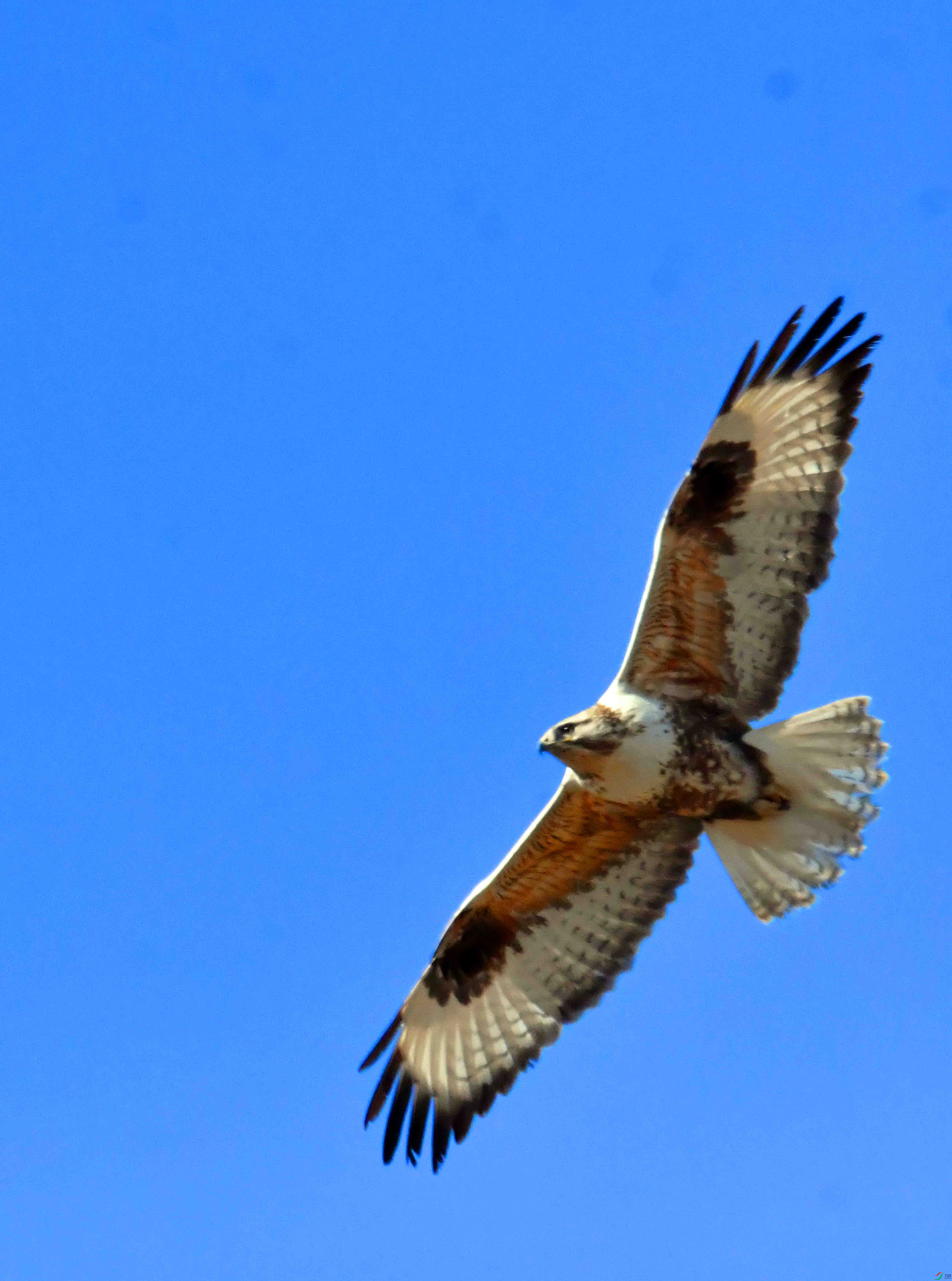 DSC_5265.JPG