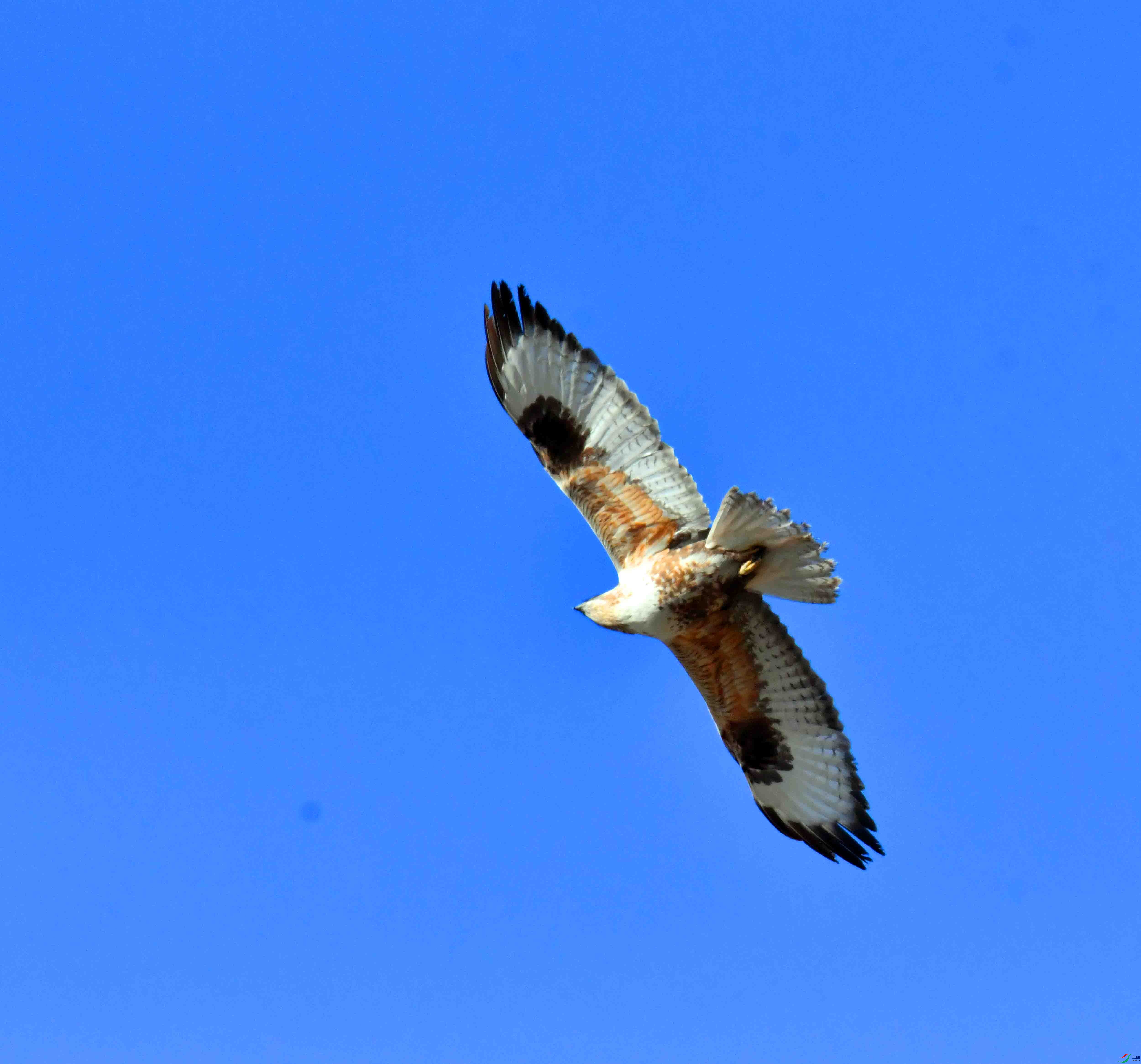 DSC_5267.JPG