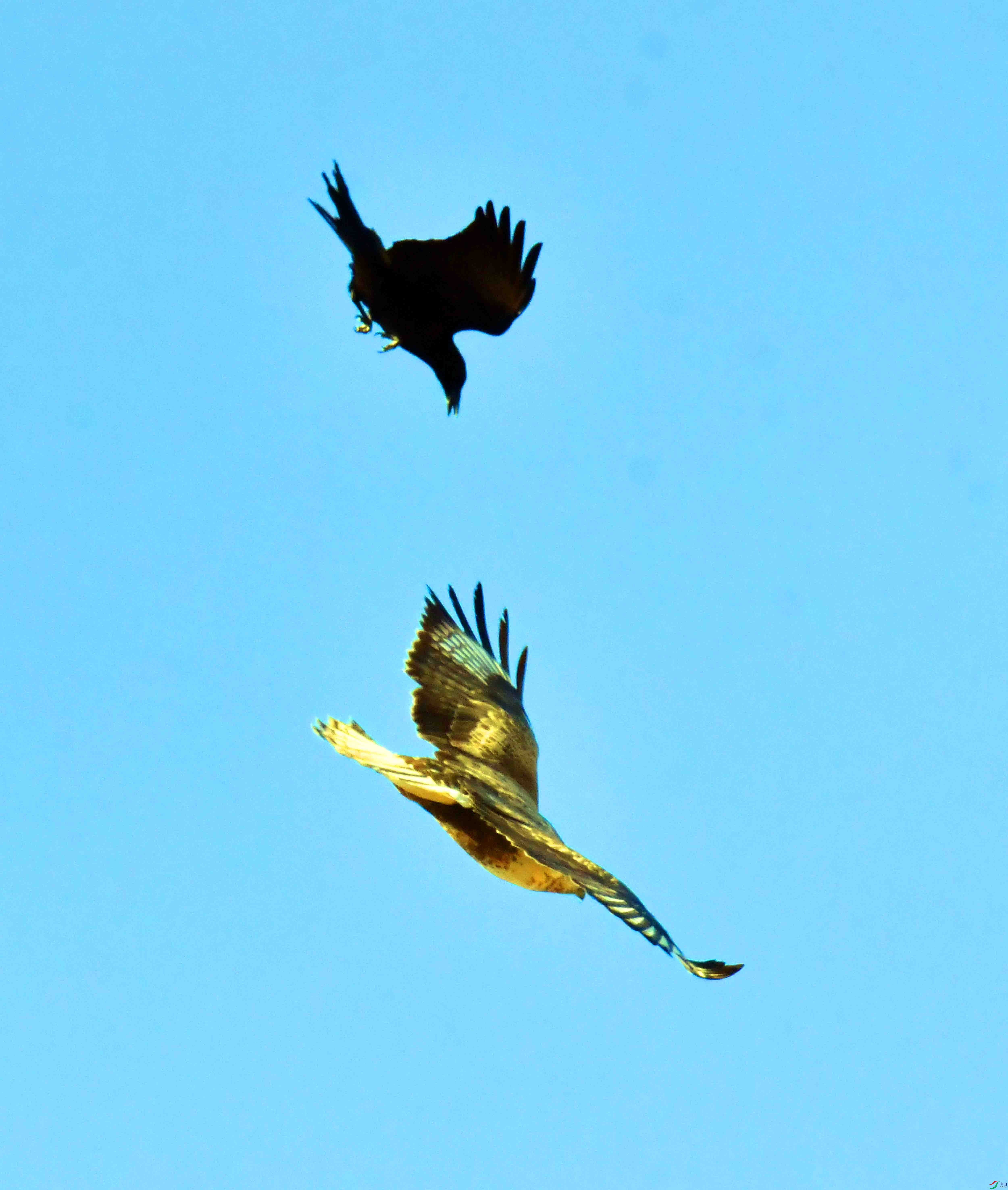 DSC_5269.JPG