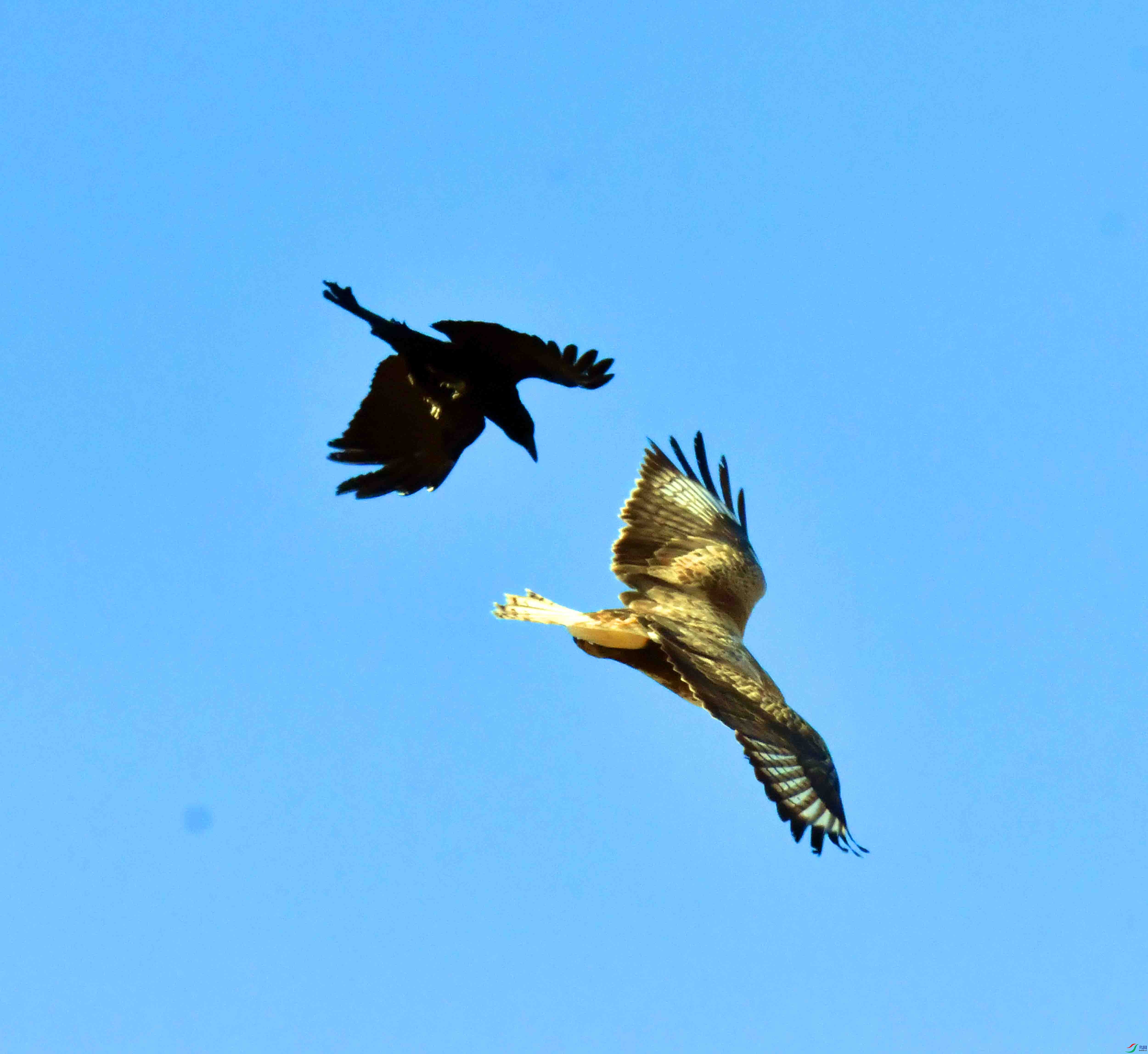 DSC_5270.JPG