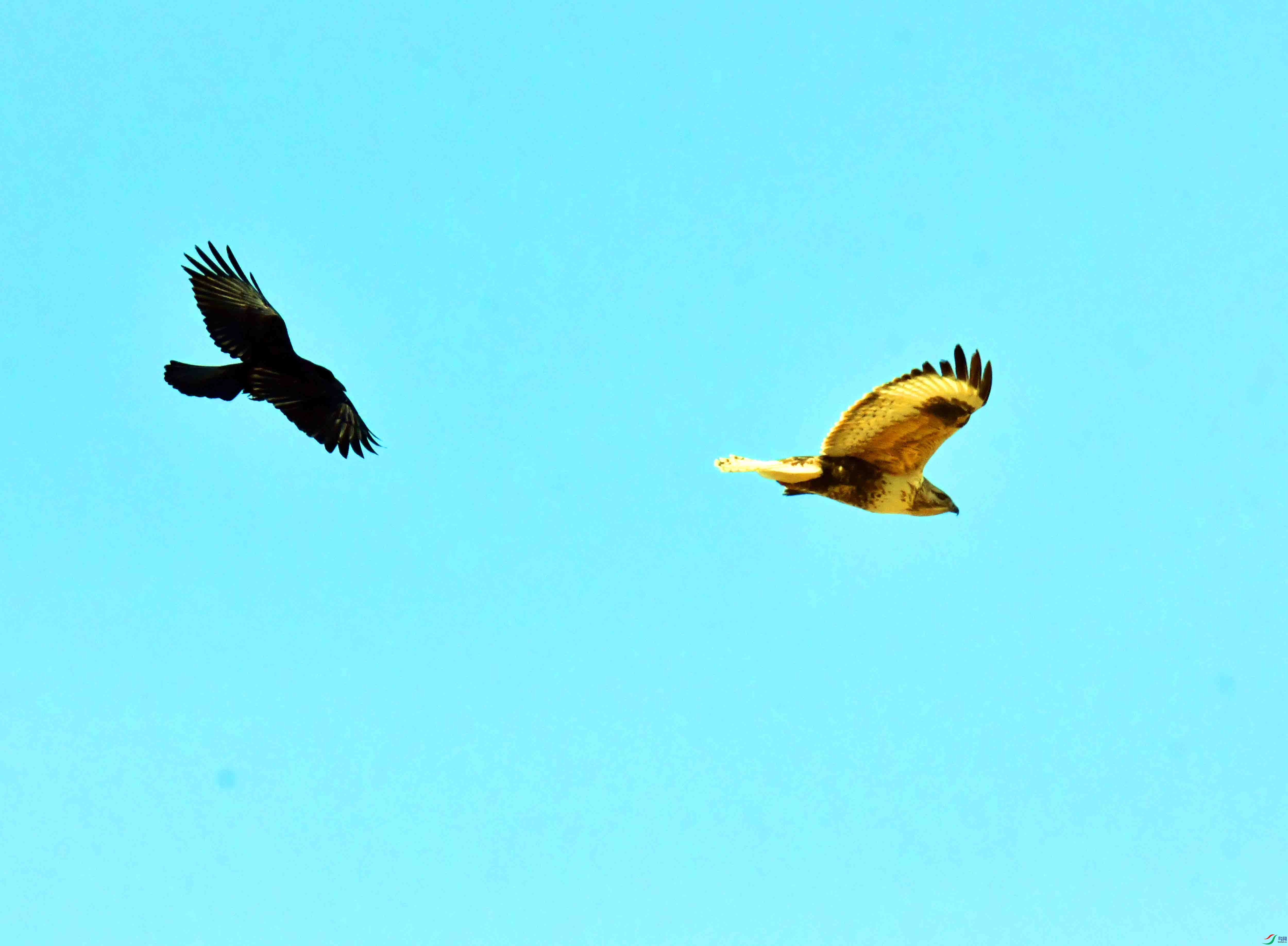 DSC_5271.JPG