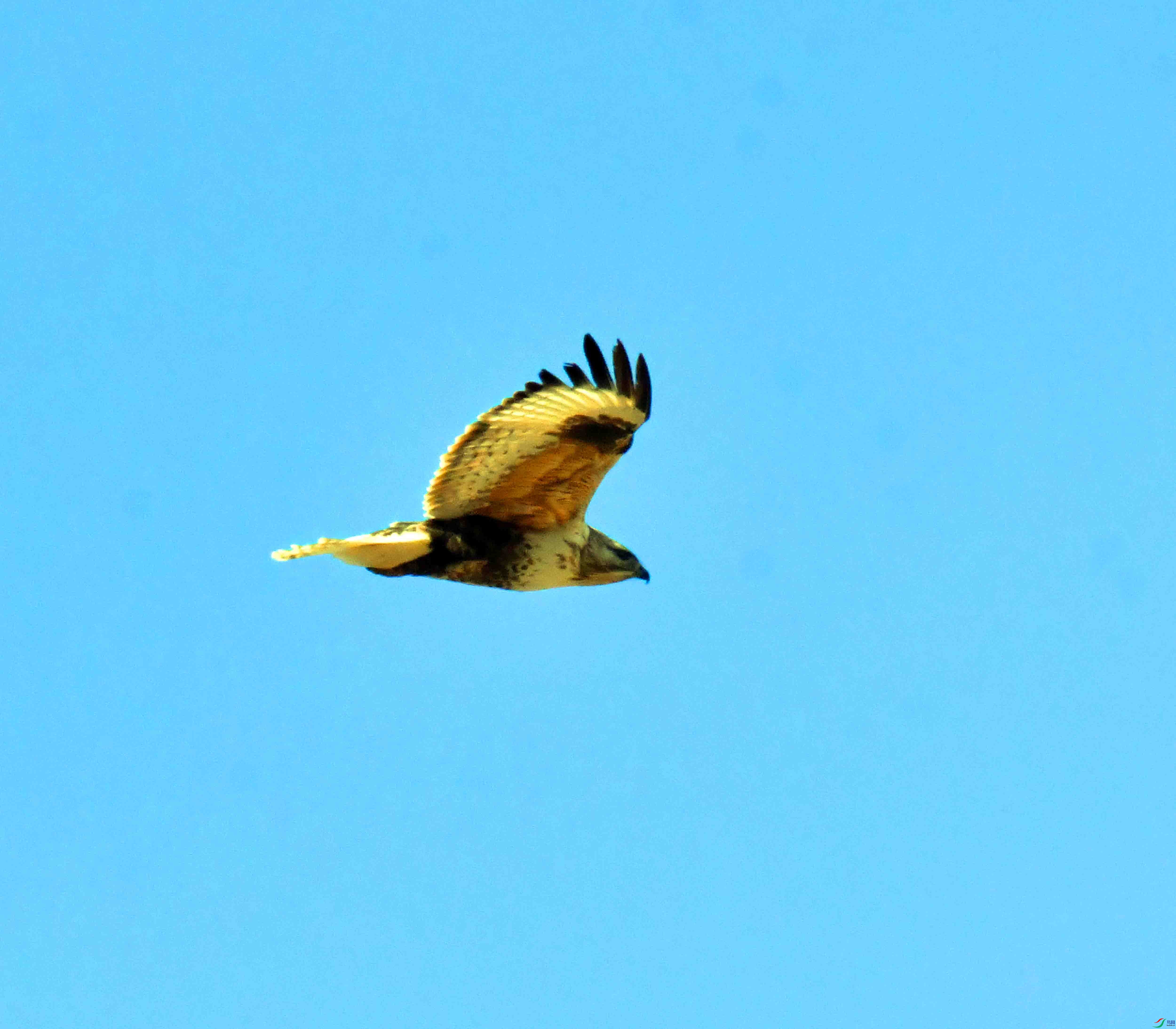 DSC_5273.JPG