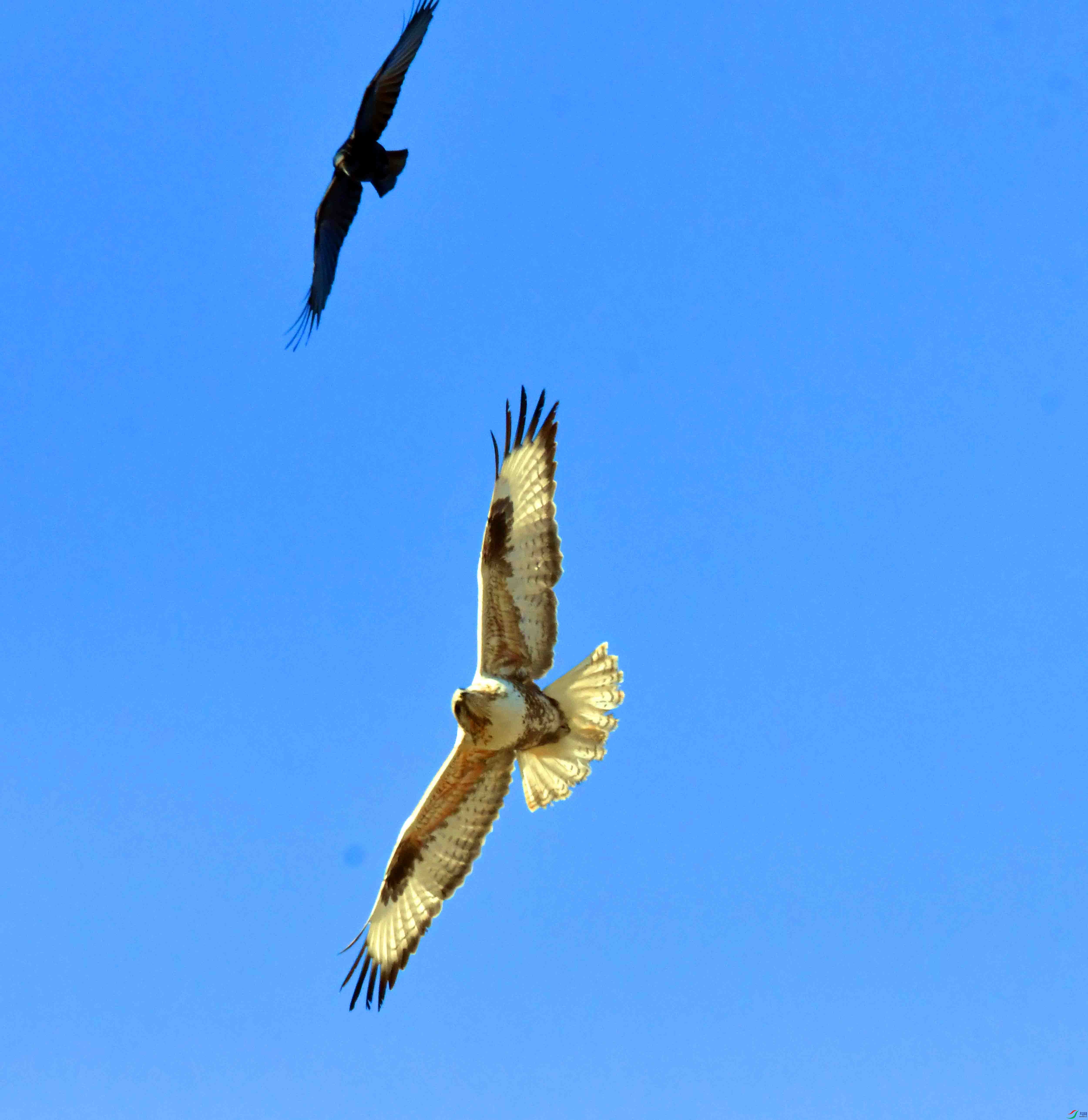 DSC_5276.JPG