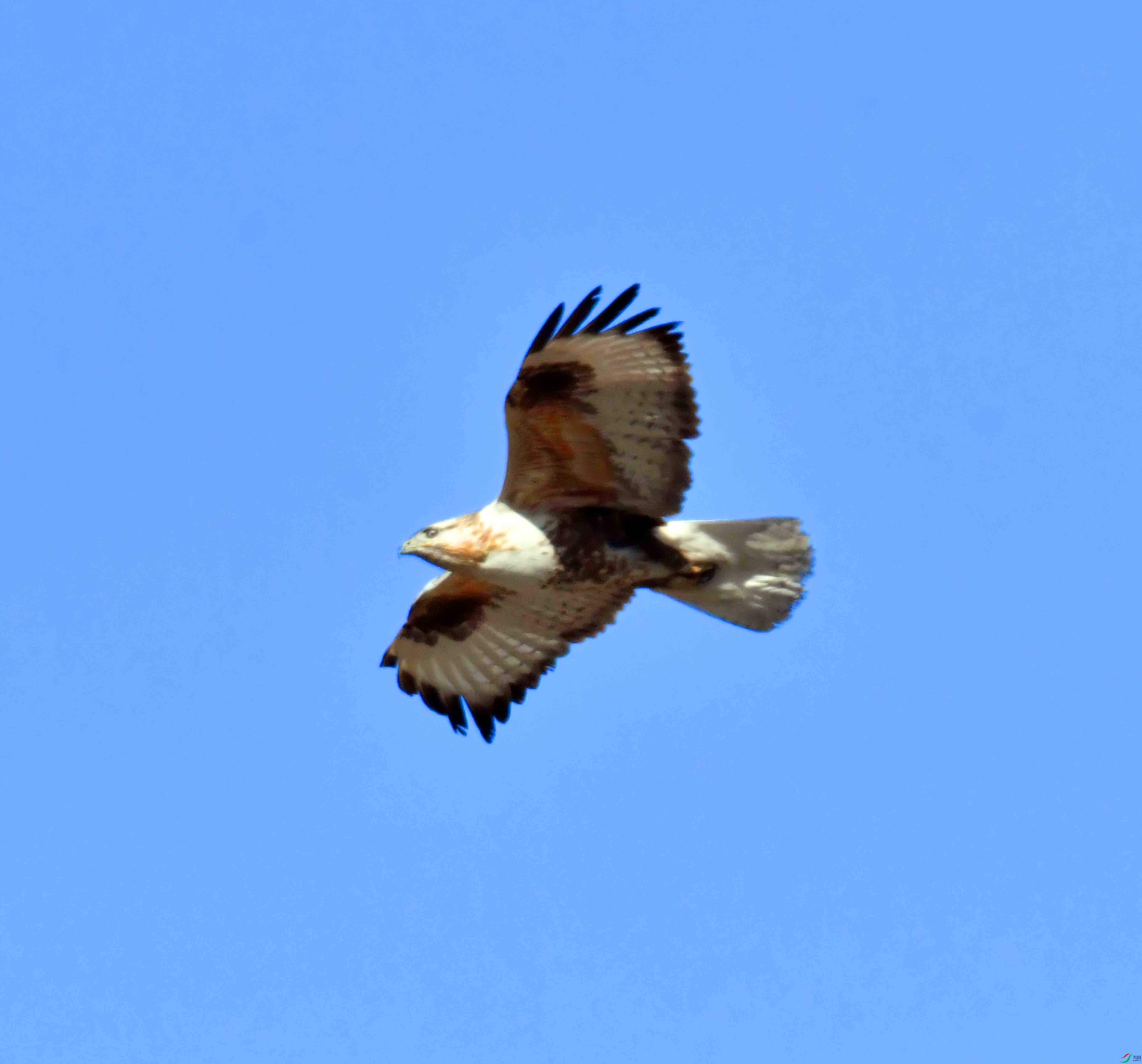 DSC_5236.JPG