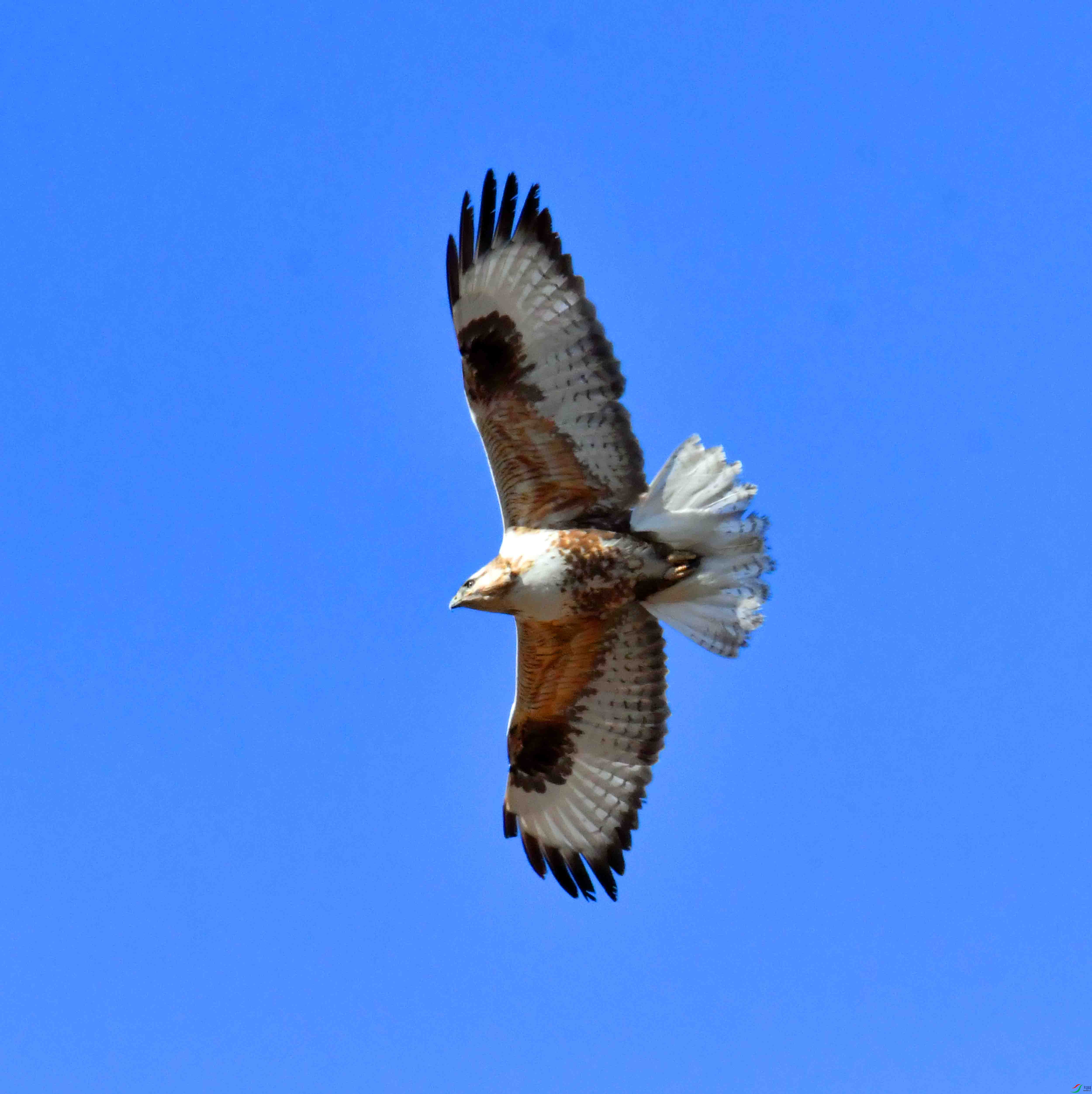 DSC_5278.JPG