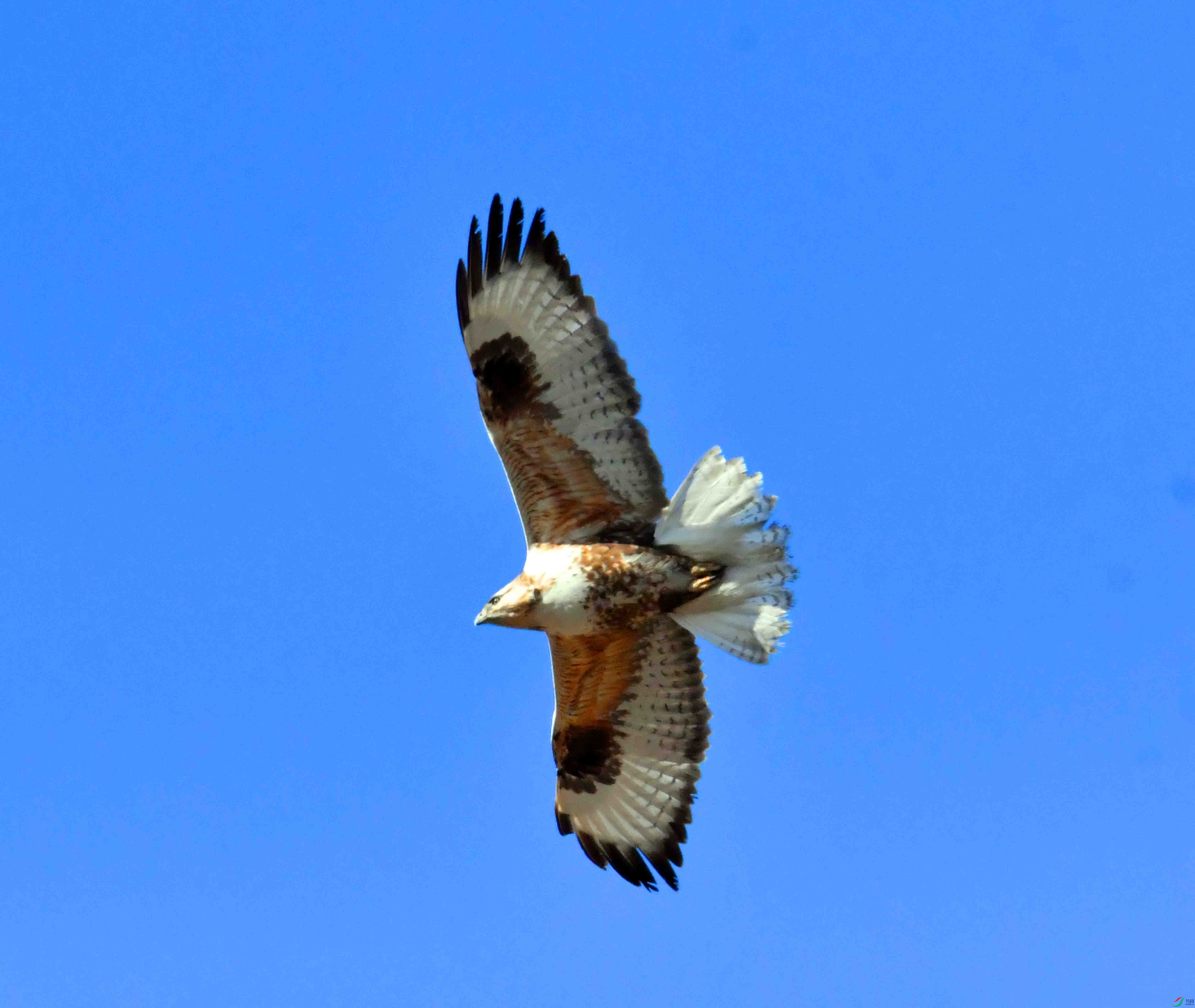 DSC_5279.JPG