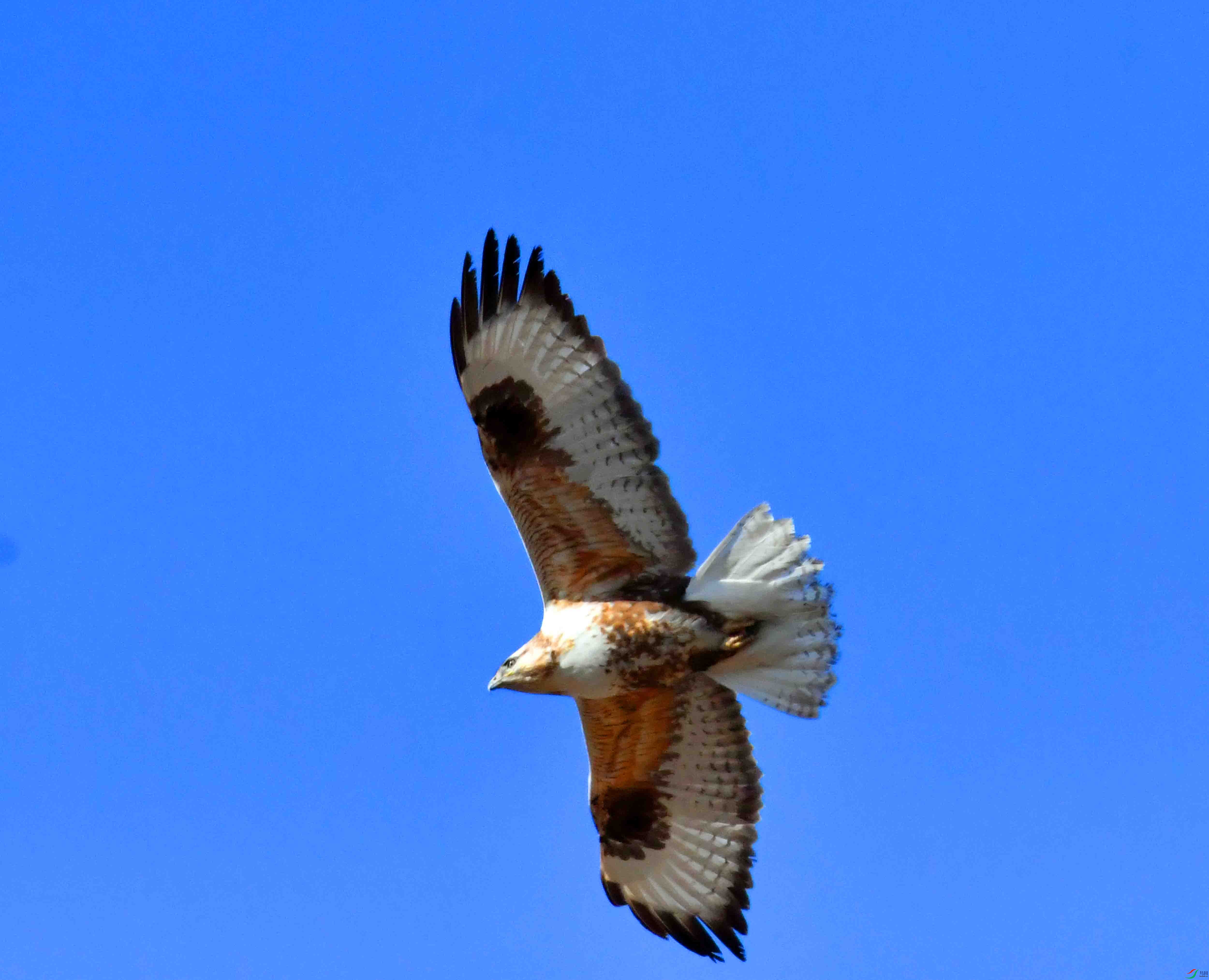 DSC_5280.JPG
