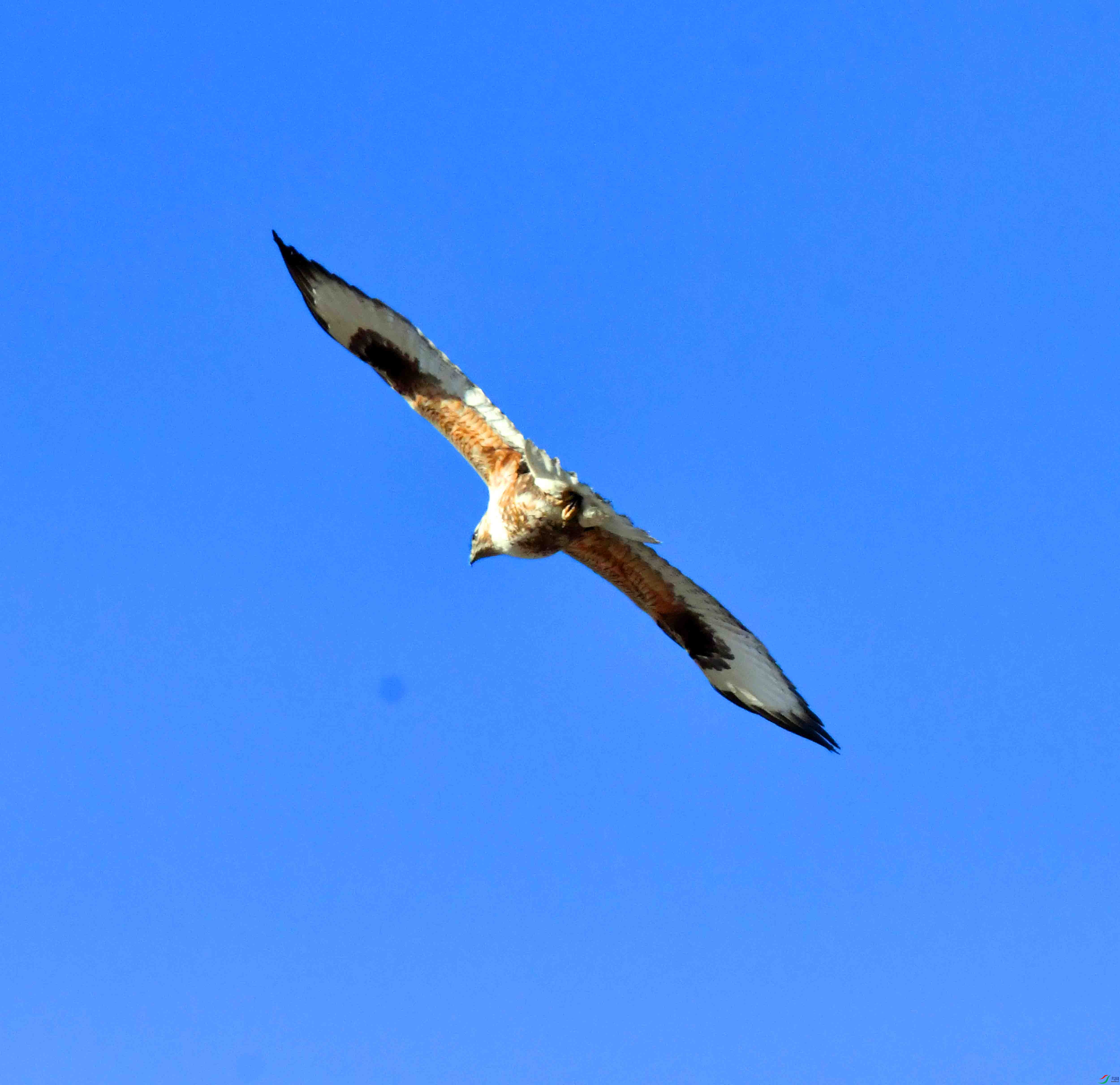 DSC_5281.JPG