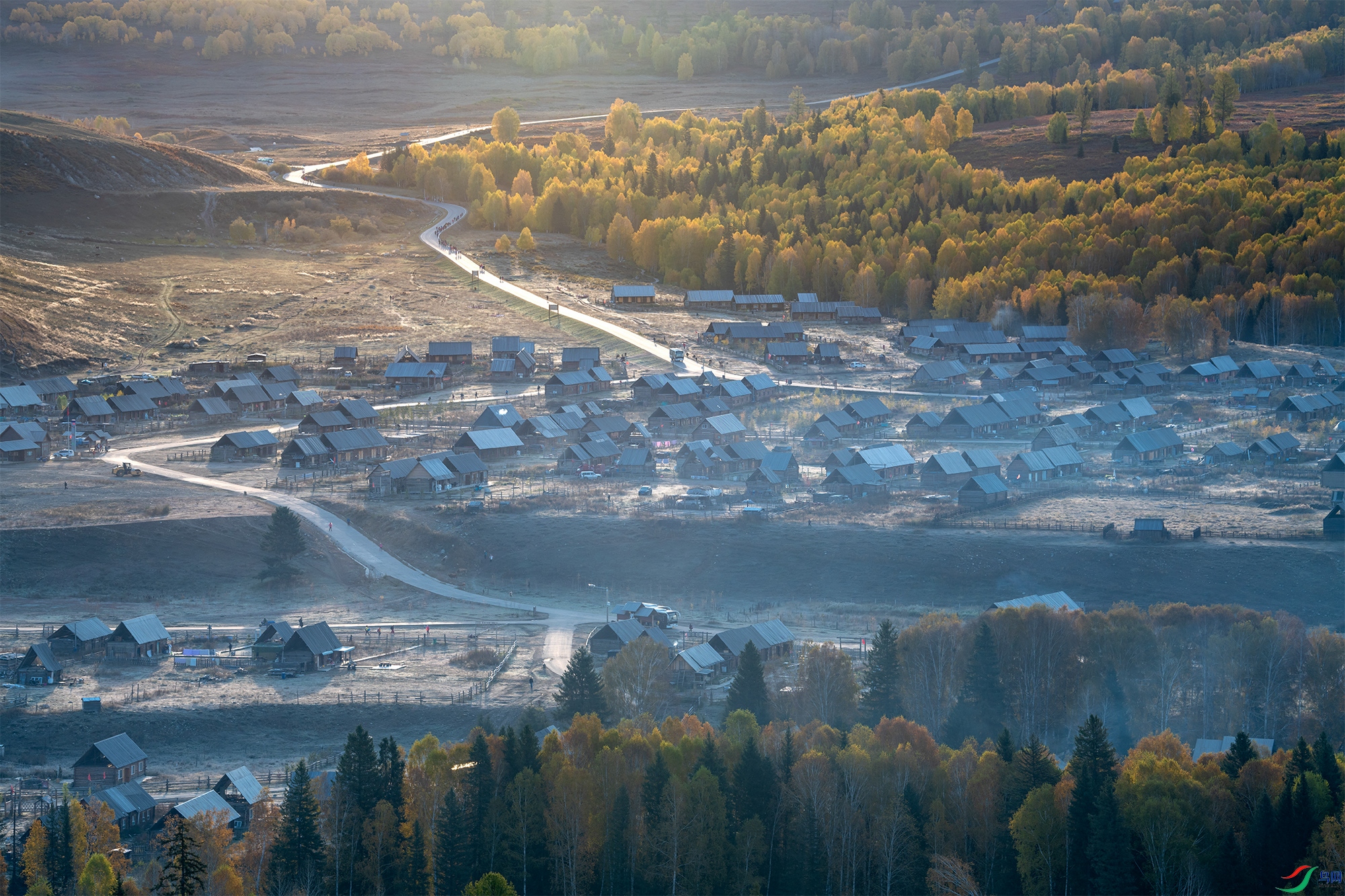 _DSC2106a.jpg