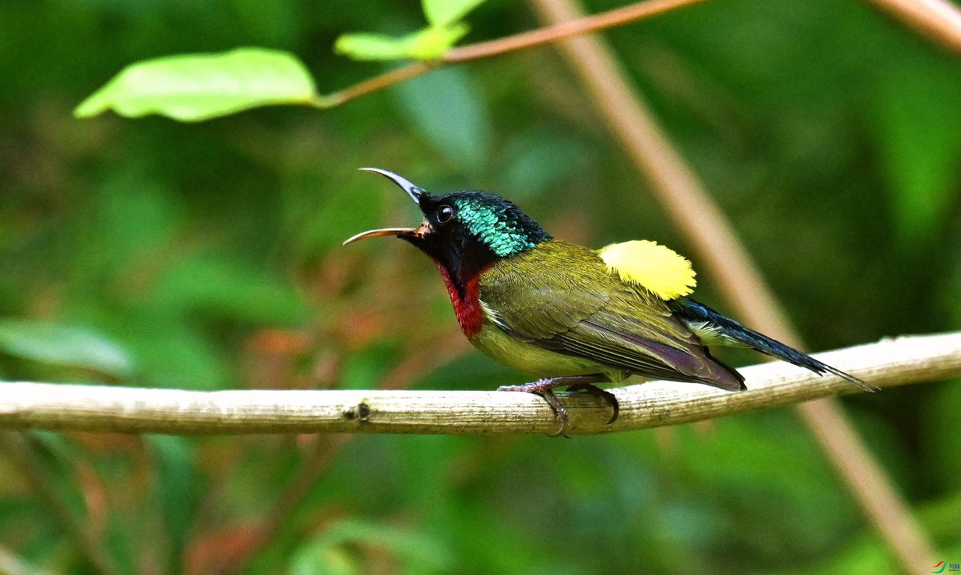 DSC_7937_����.jpg