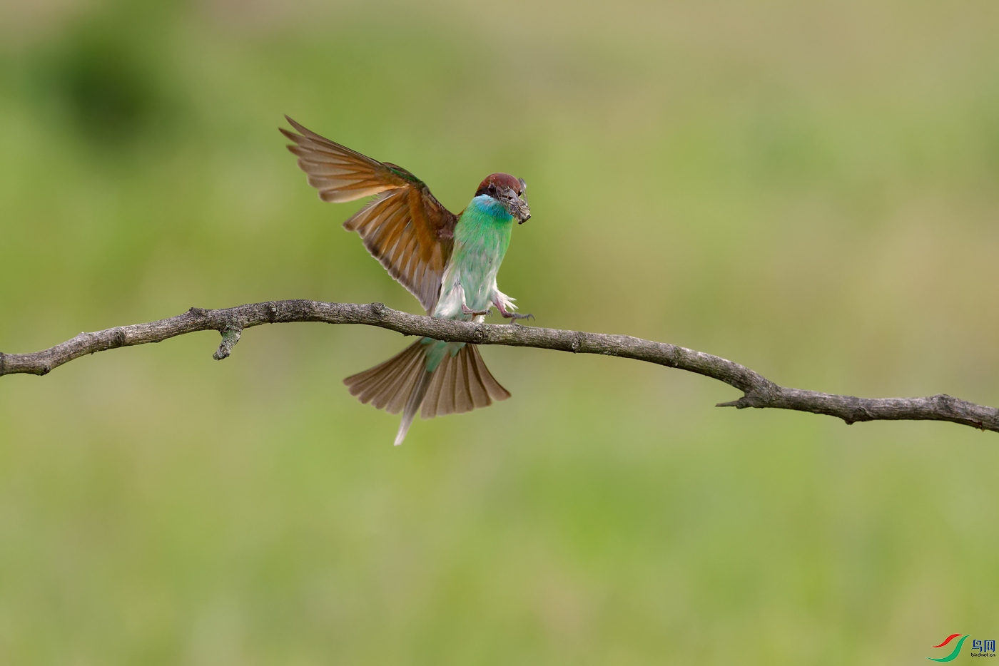 DSC_9310_DxOa.jpg