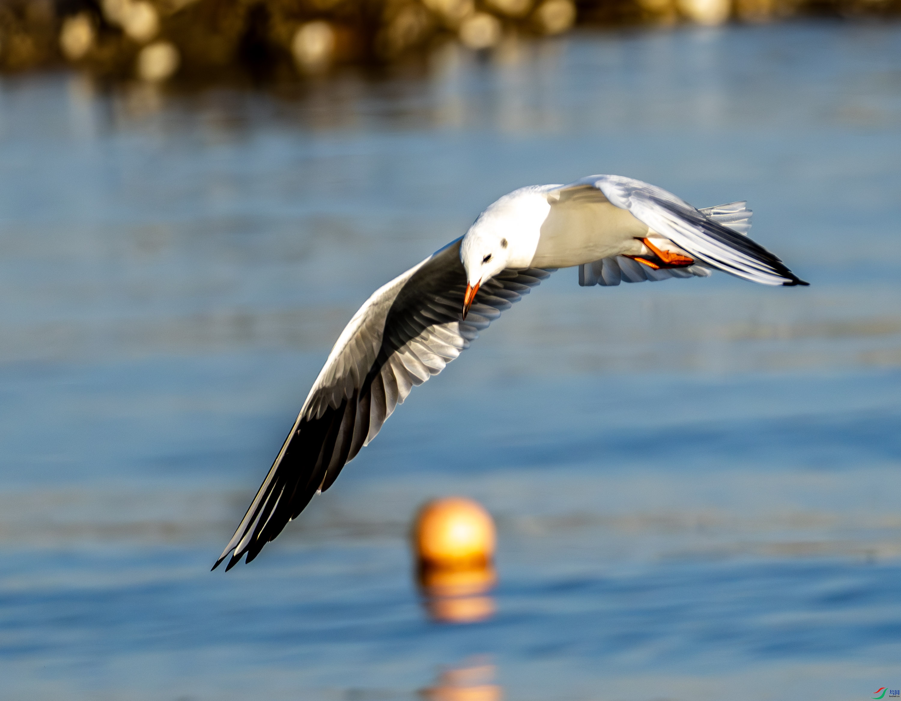 ����Ÿ-01-35.jpg