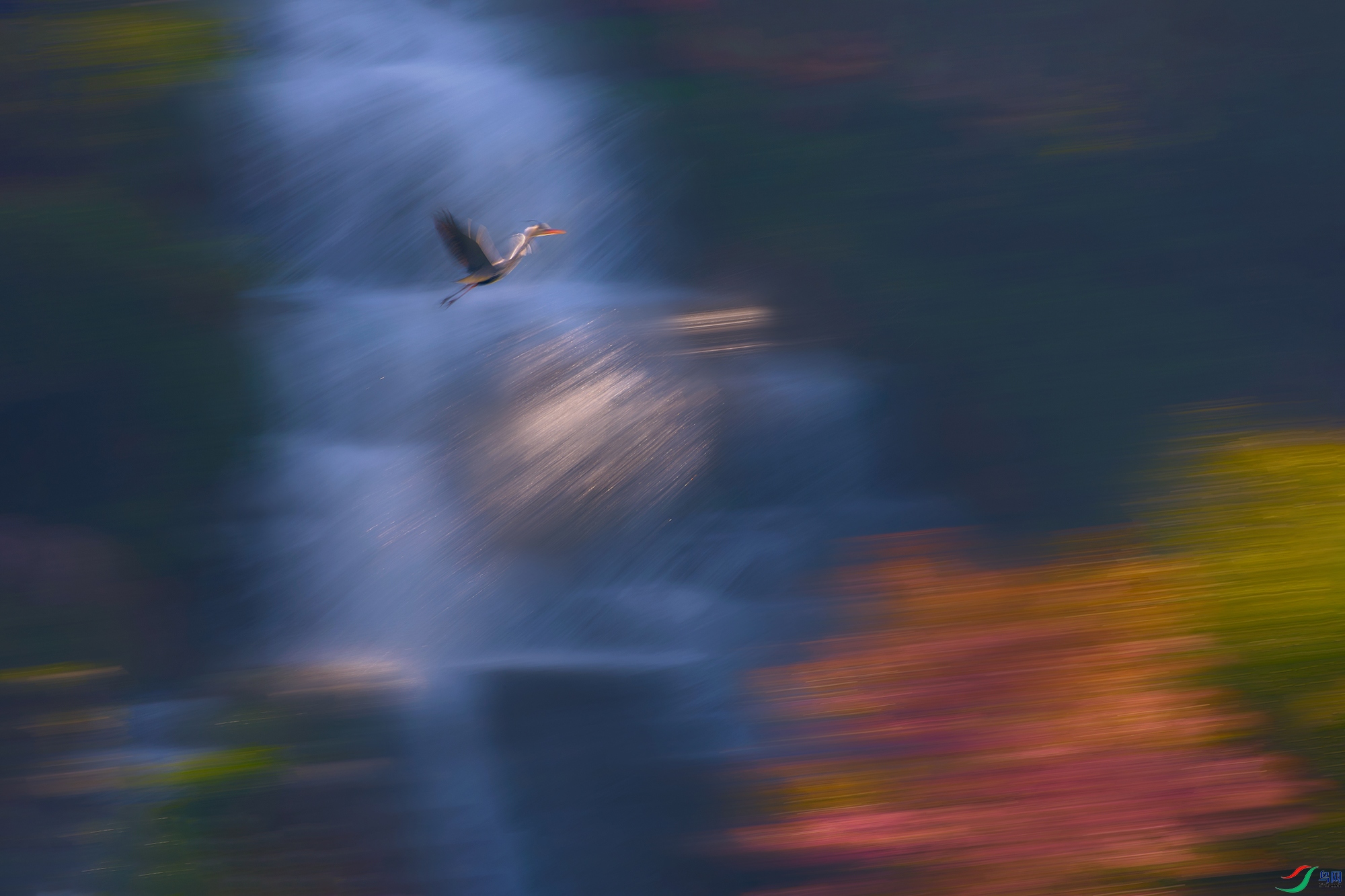 _90A2972_2-HZW.jpg