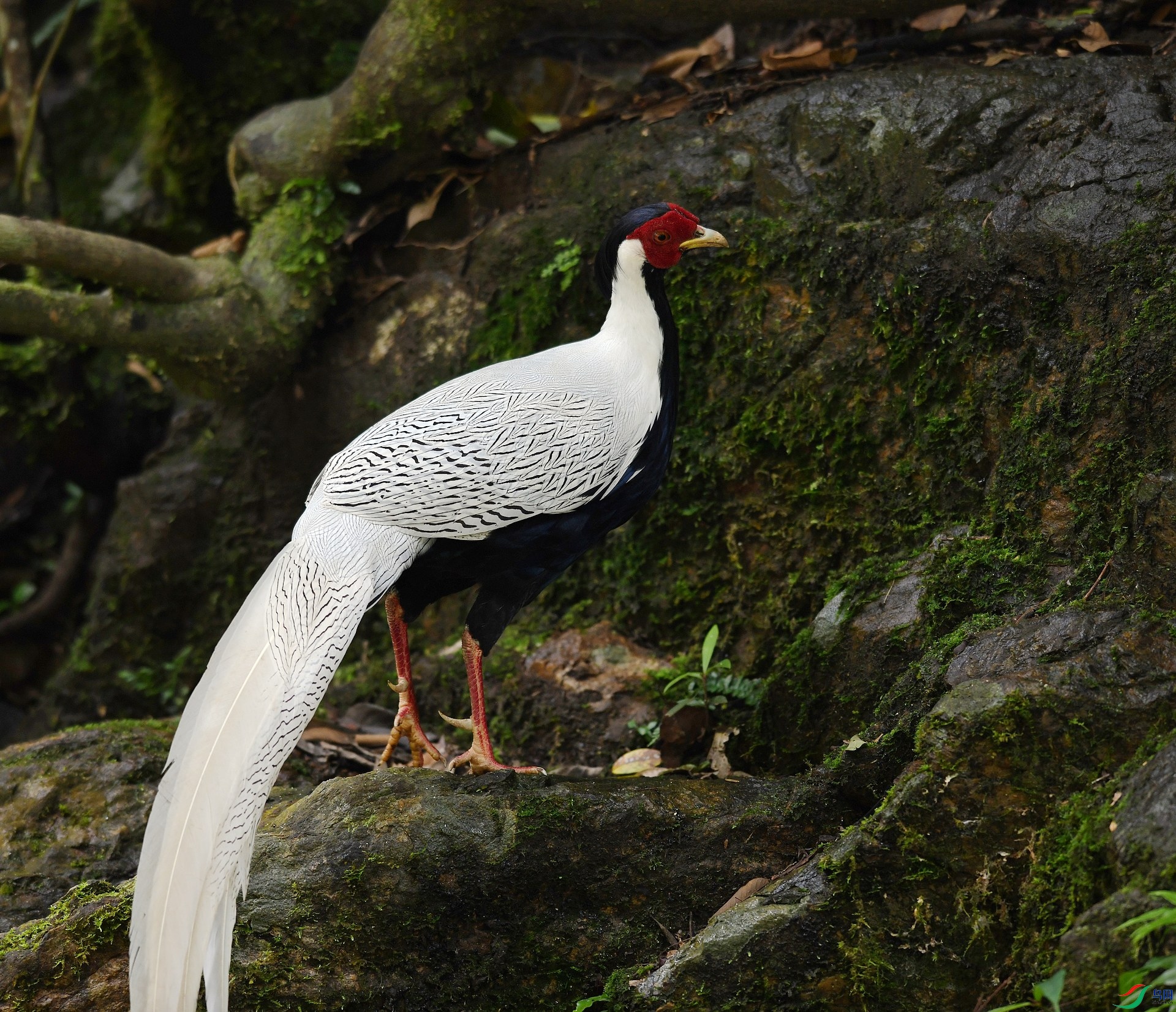 DSC_4905.jpg