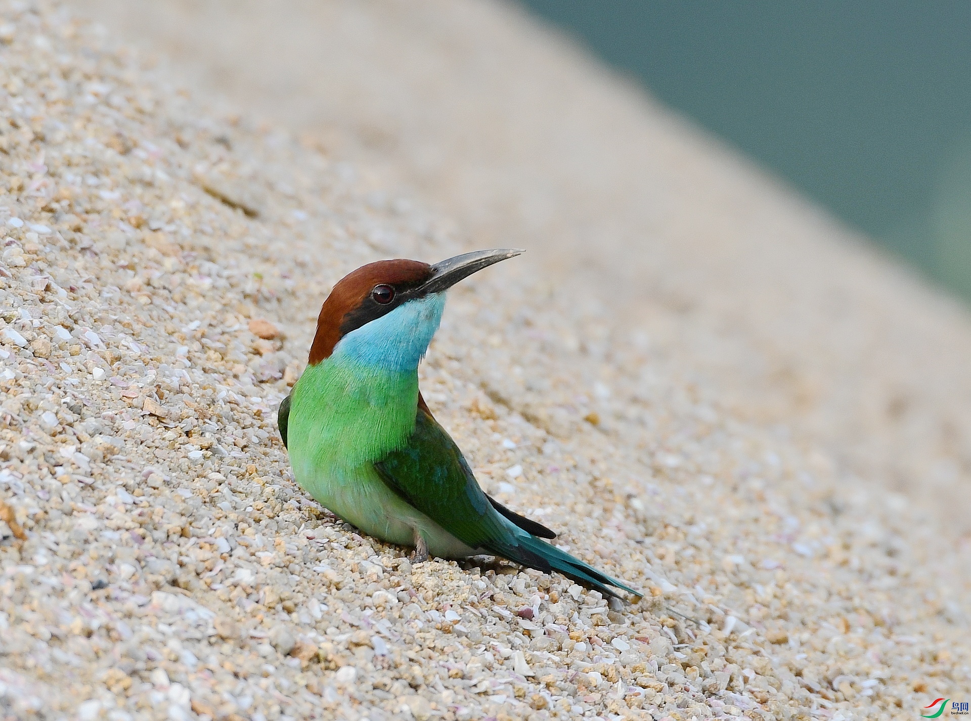 DSC_3245.jpg