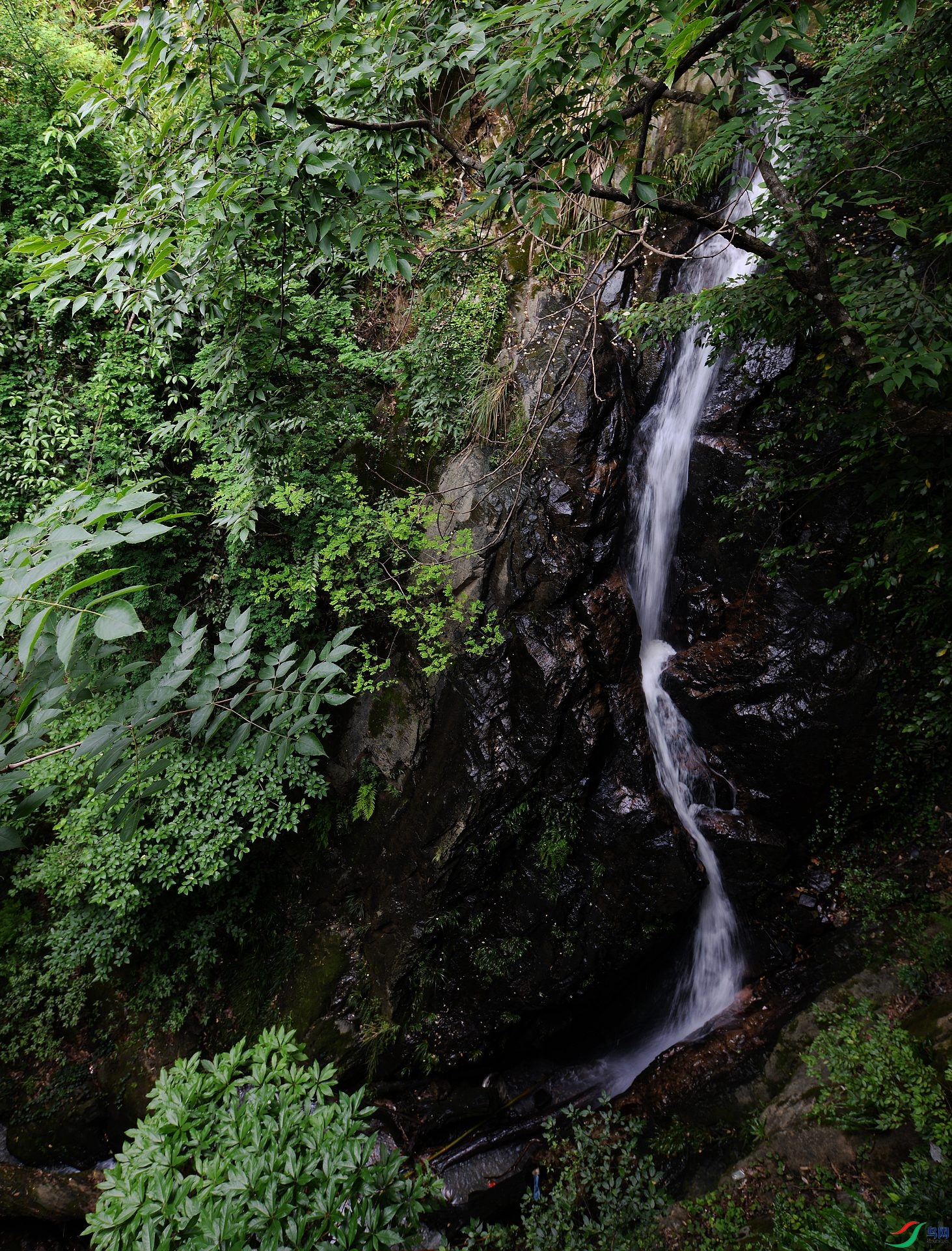 DSC_4769.jpg