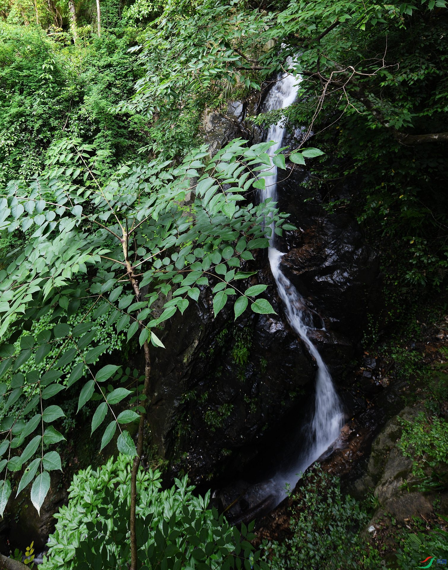 DSC_4763.jpg