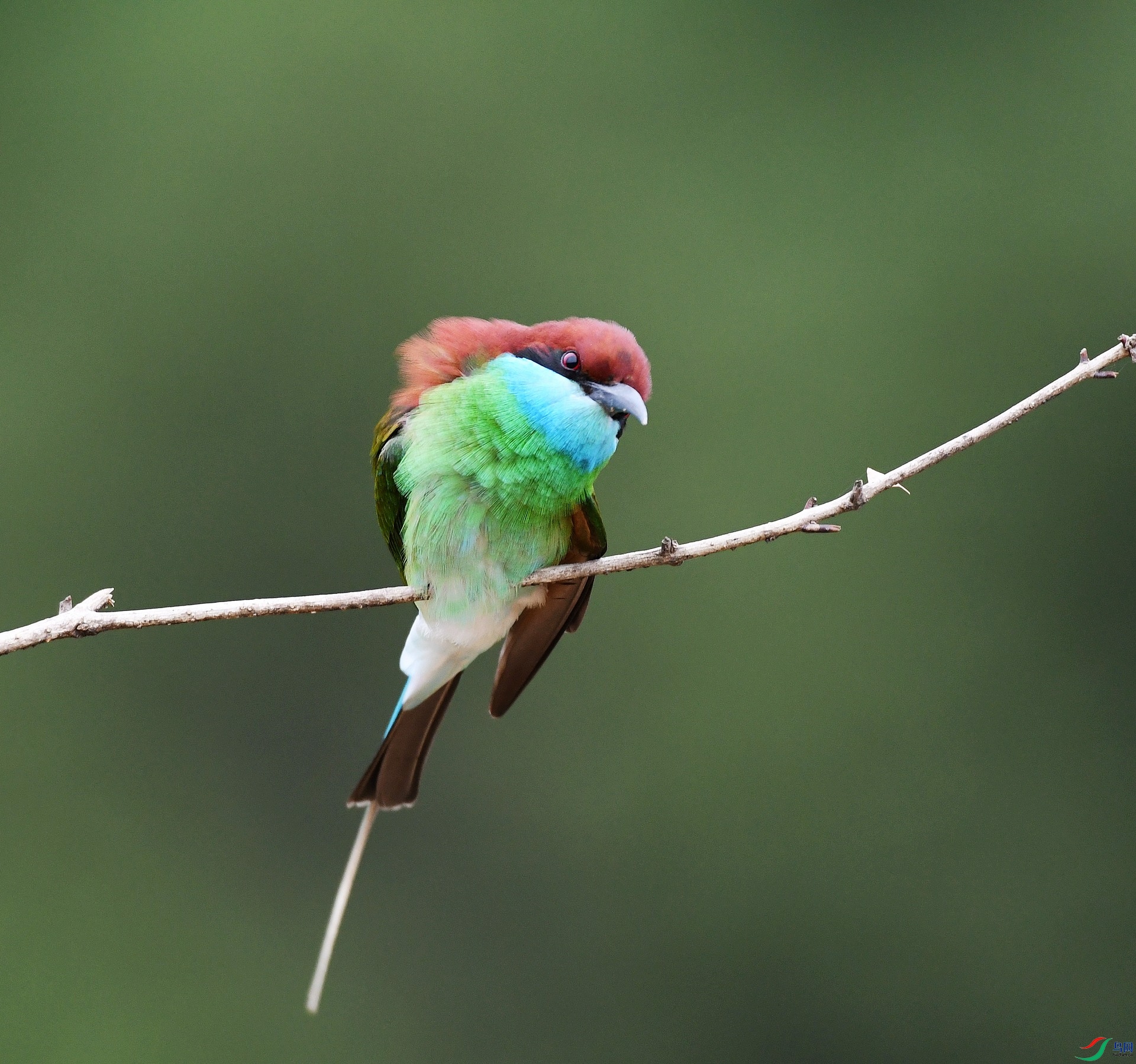 DSC_2133.jpg