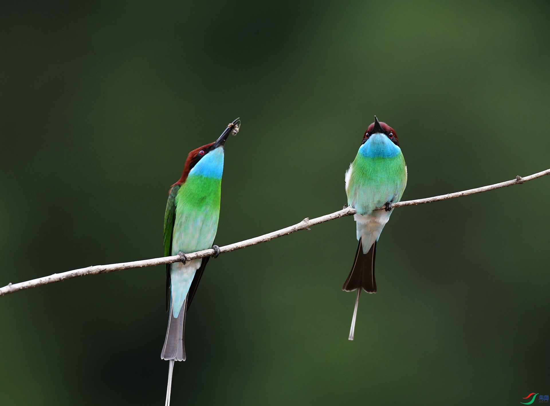 DSC_1936.jpg
