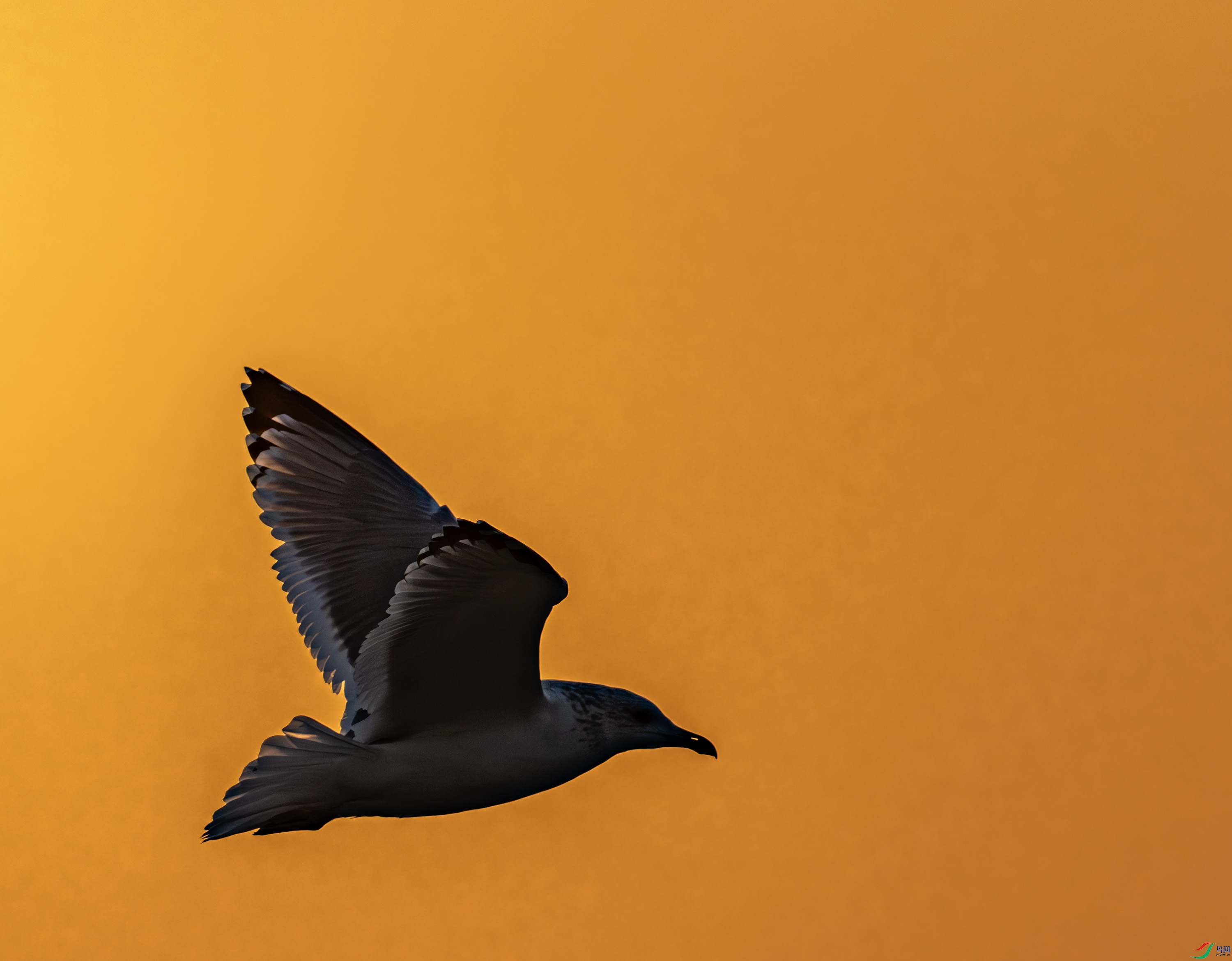 ����������Ÿ-03-39.jpg