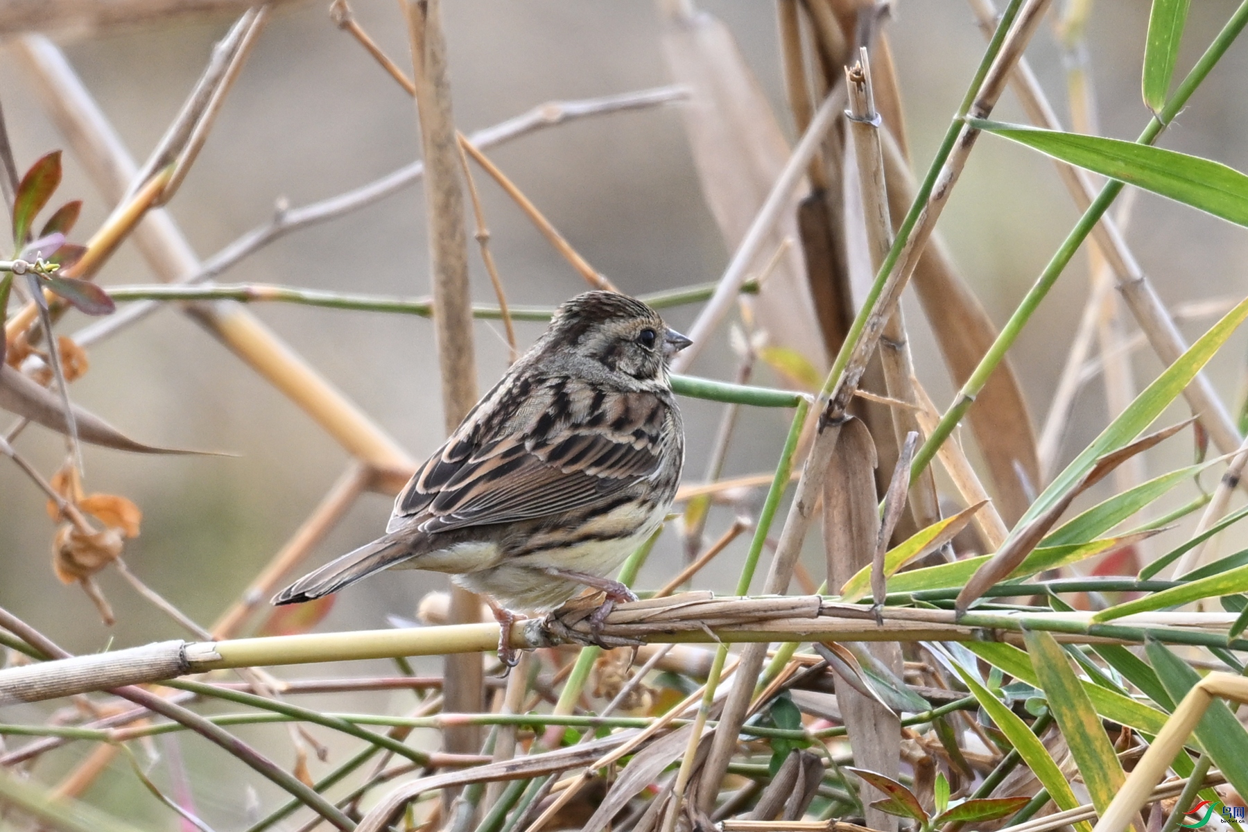 DSC_8892.JPG