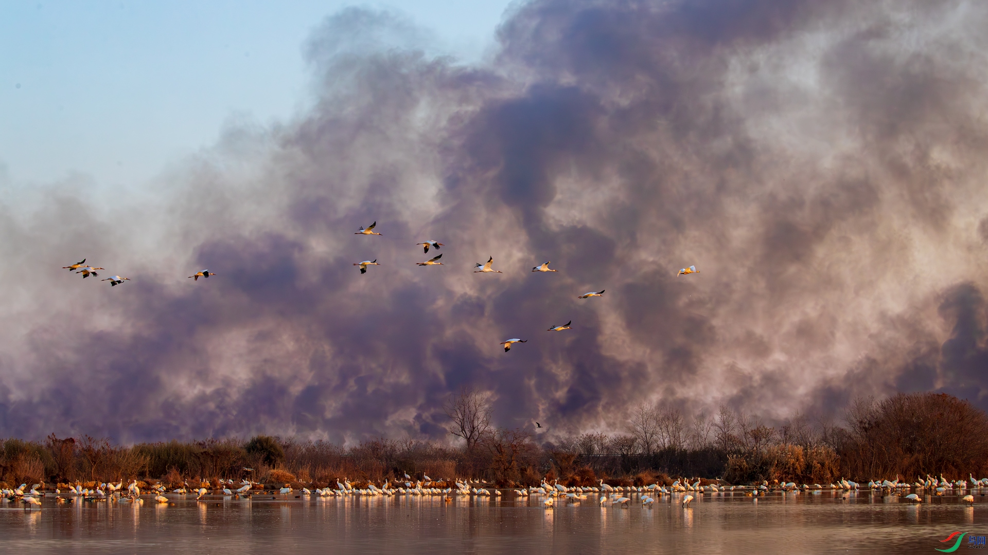 _R2I9697-����ǿ-NR-1.jpg