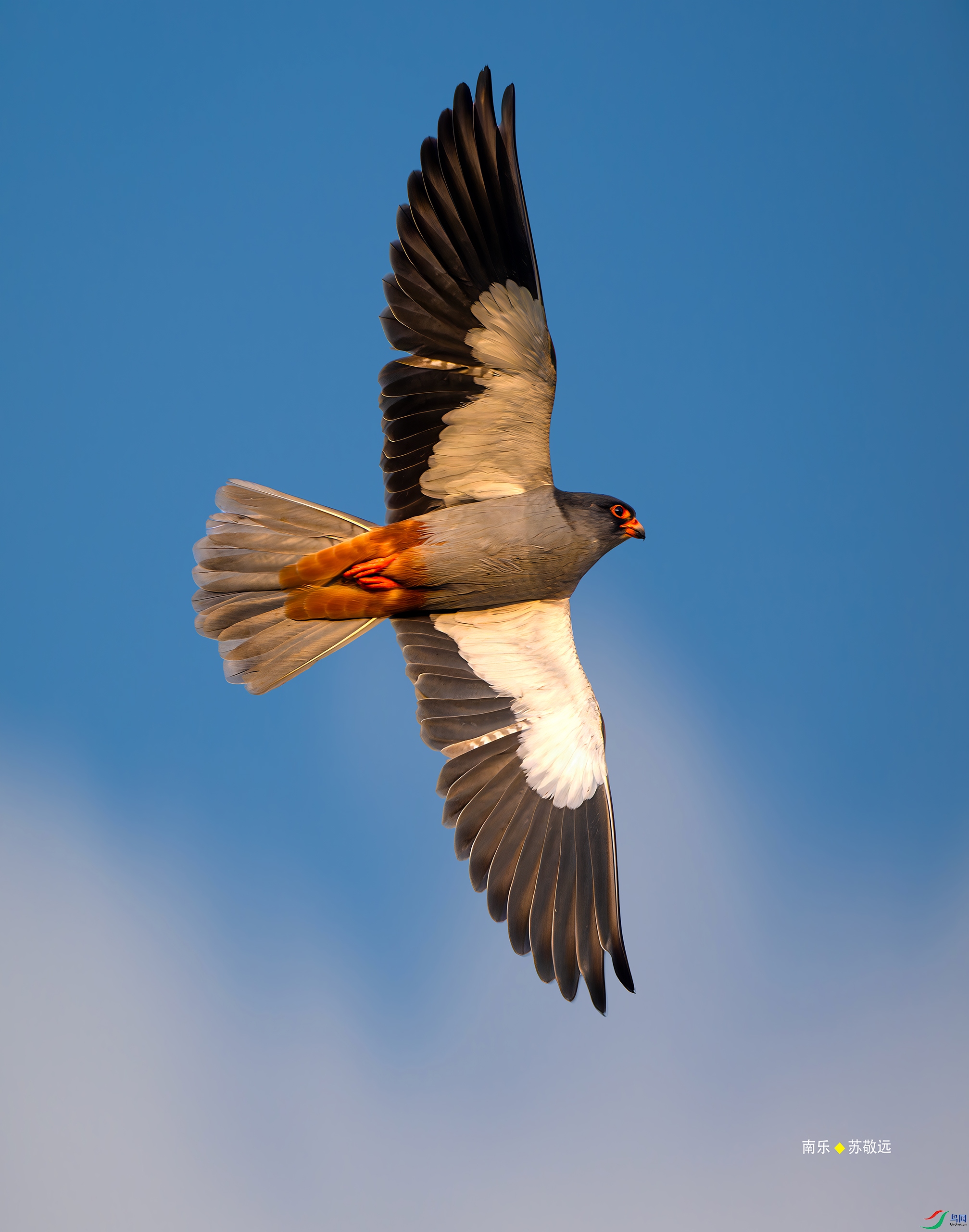 _DSC5496-DxO_С.jpg