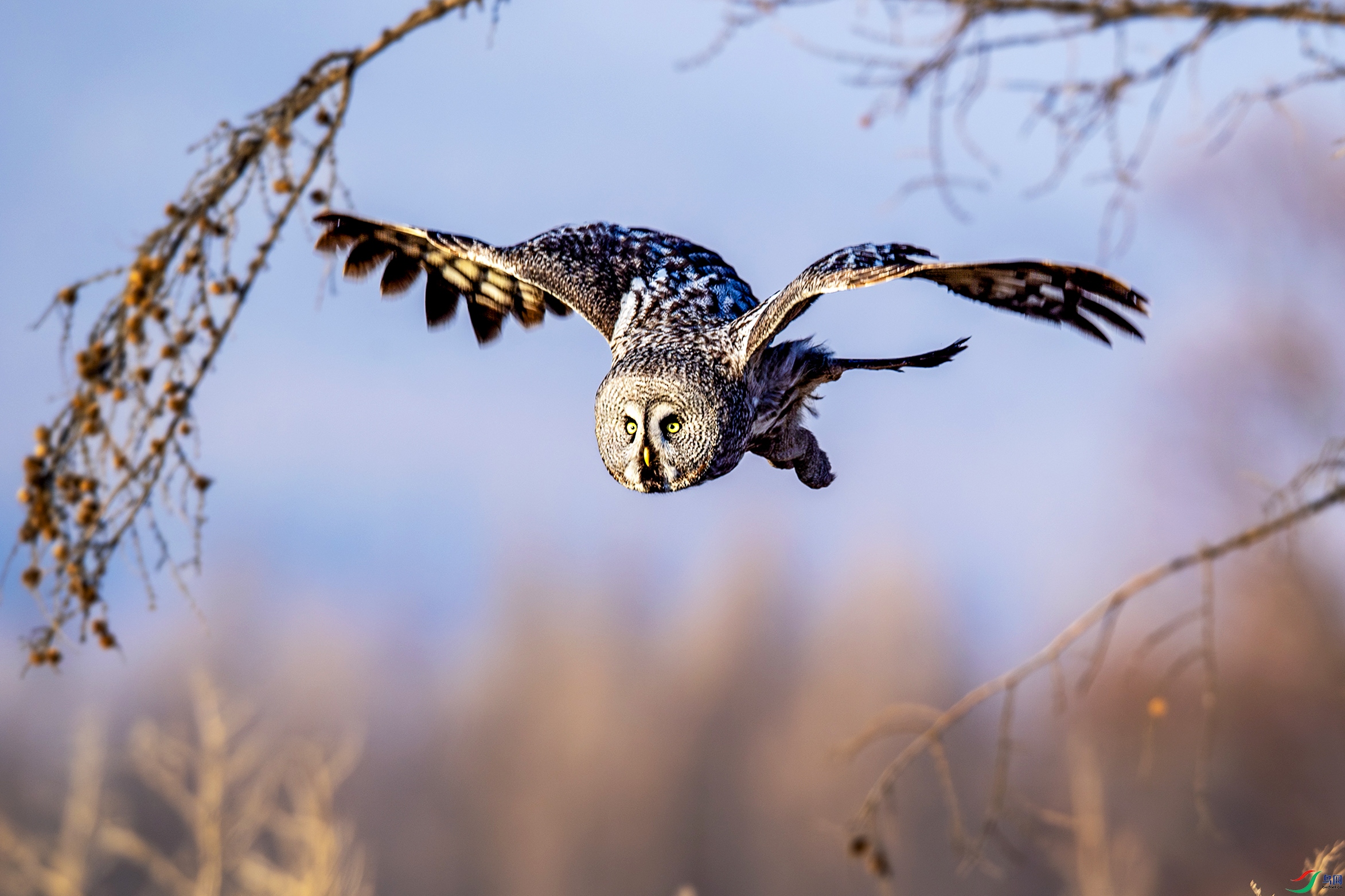 _DSC3281-����ǿ-NR�����^26-04.jpg