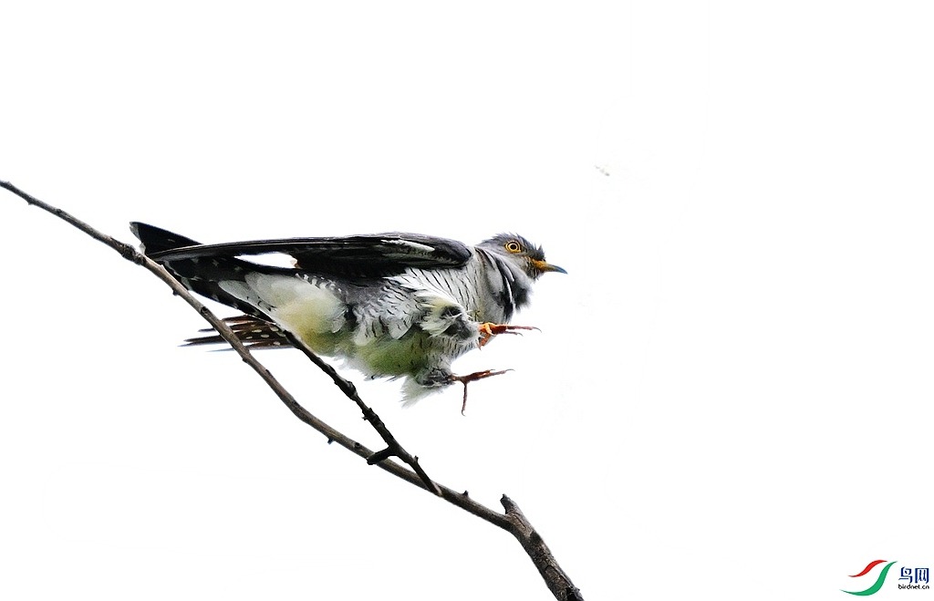 DSC_2632.JPG