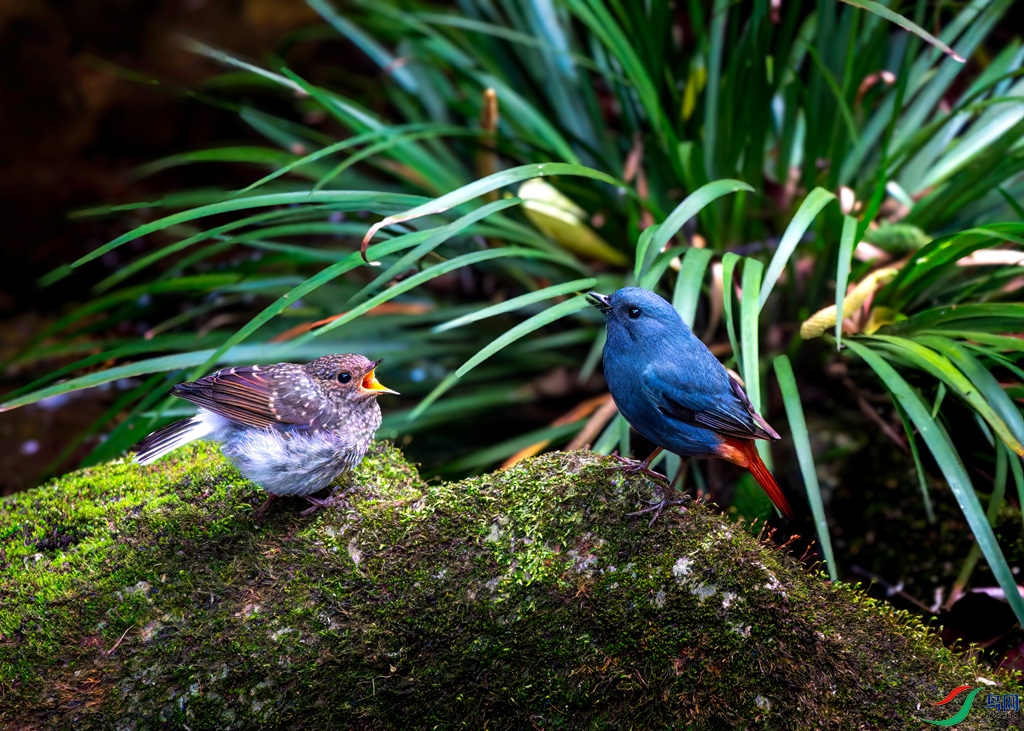_DSC4667.jpg