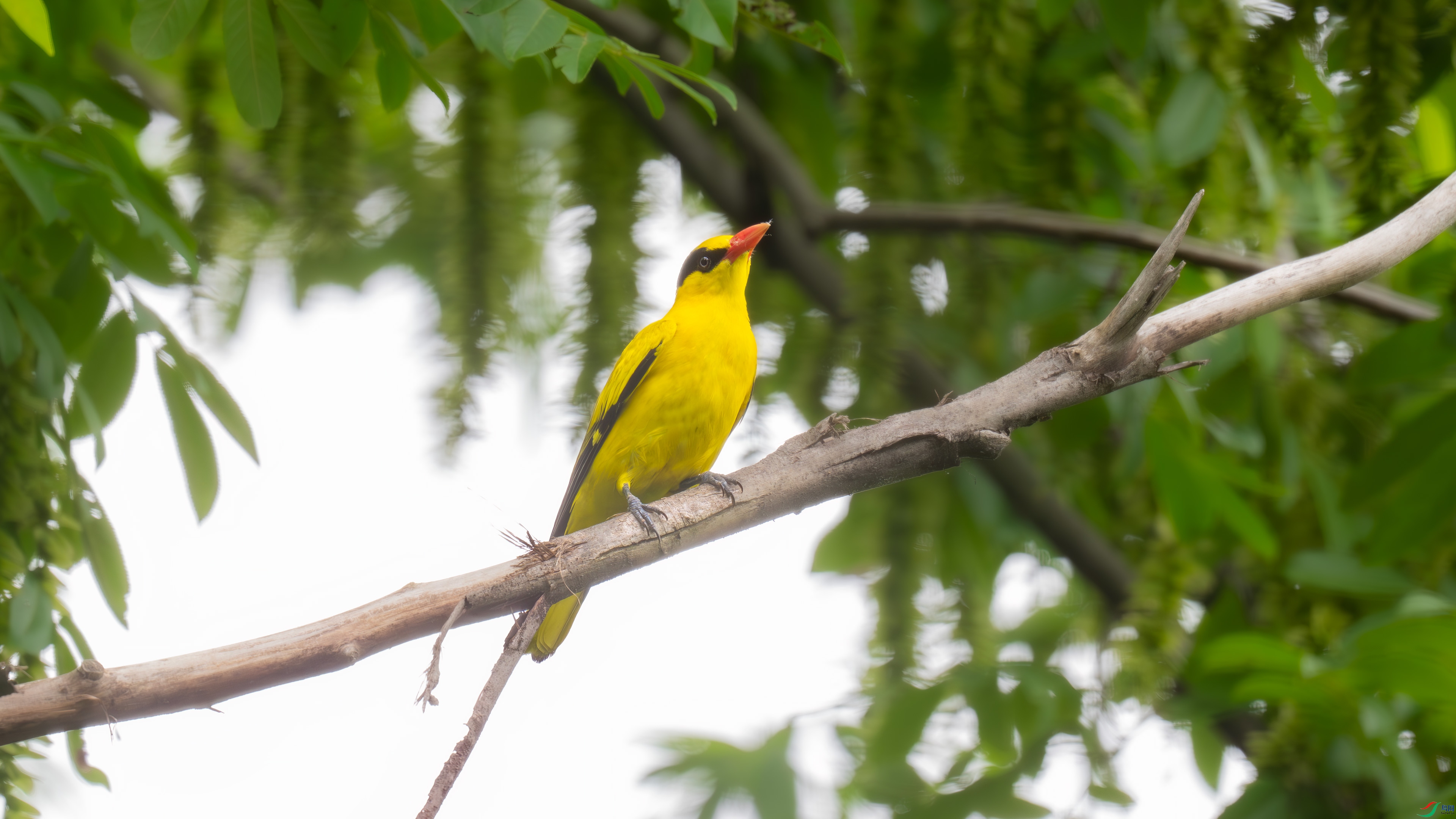 DSC_6750.jpg