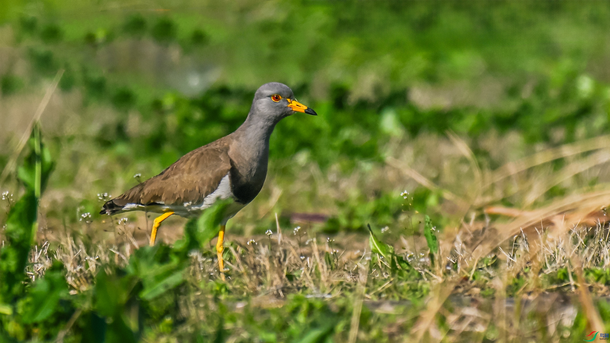 DSC_0607.JPG
