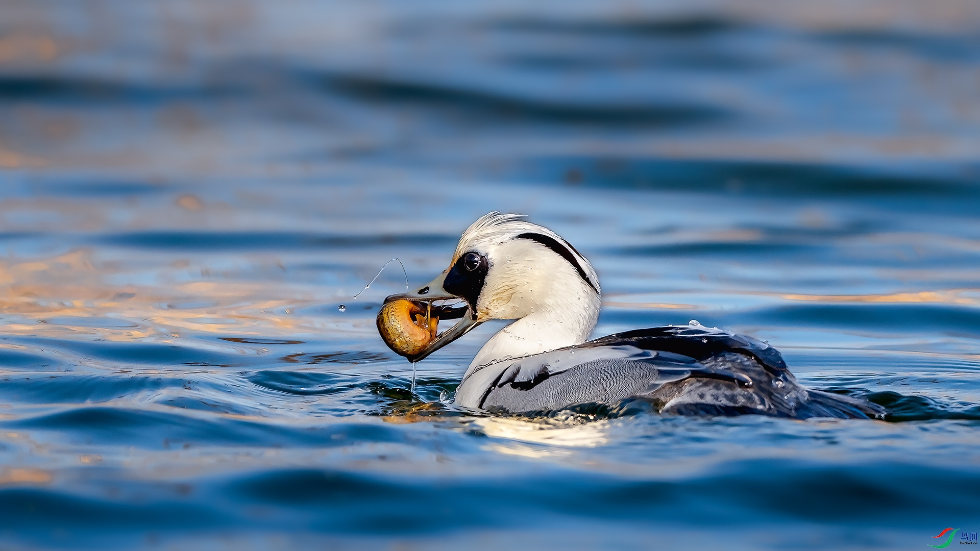 _DSC3665.jpg