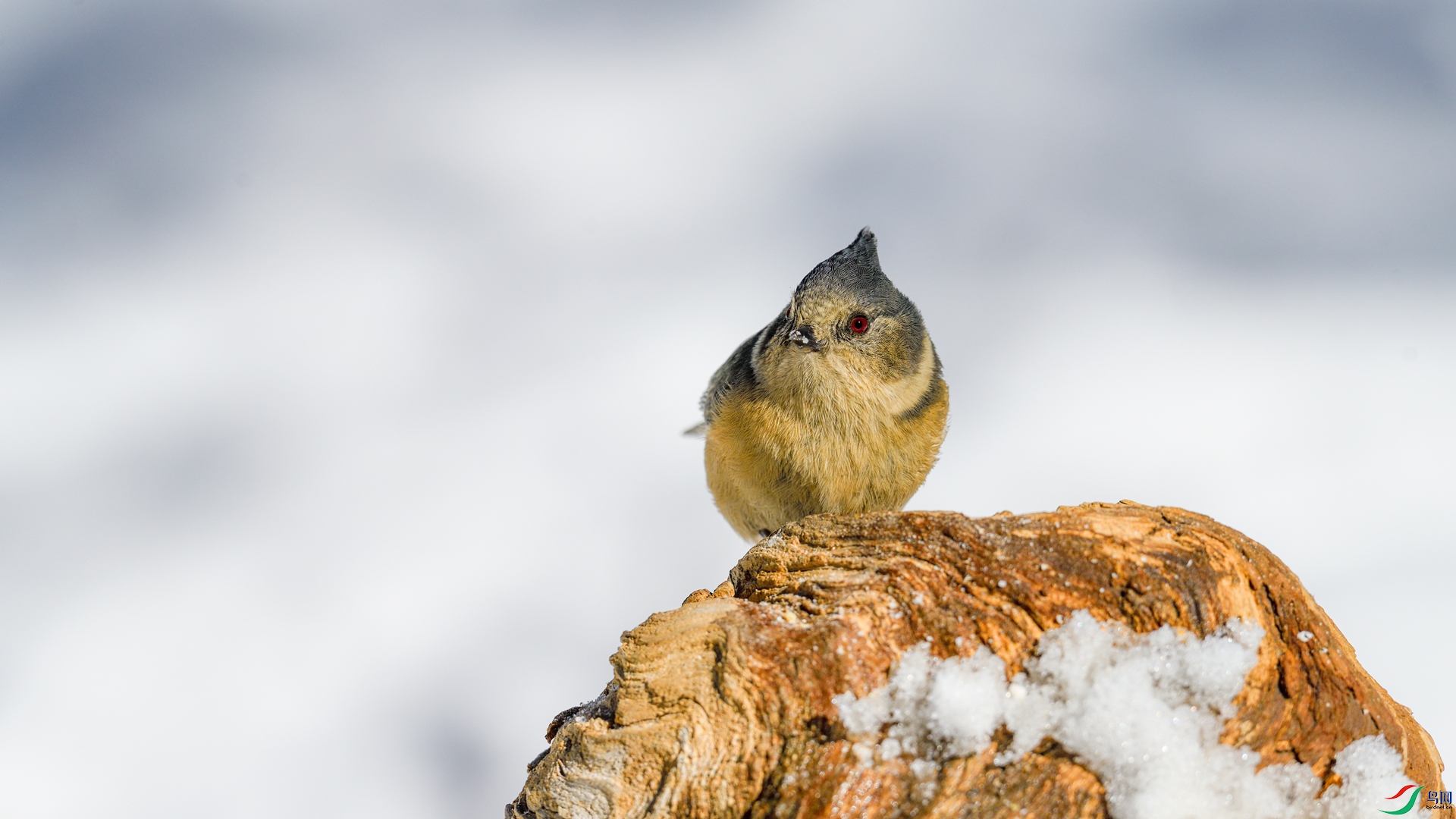 _DSC8700_����.jpg