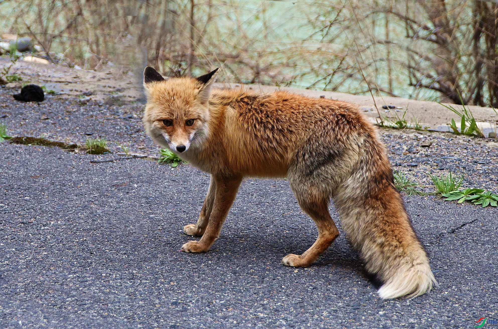 DSC_2505_����.jpg1.jpg