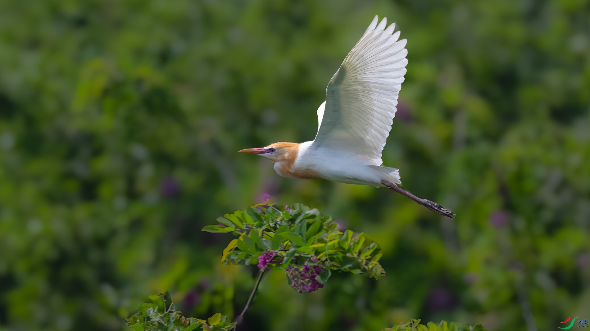 DSC_0517sen2026-5-10-207-�༭.jpg