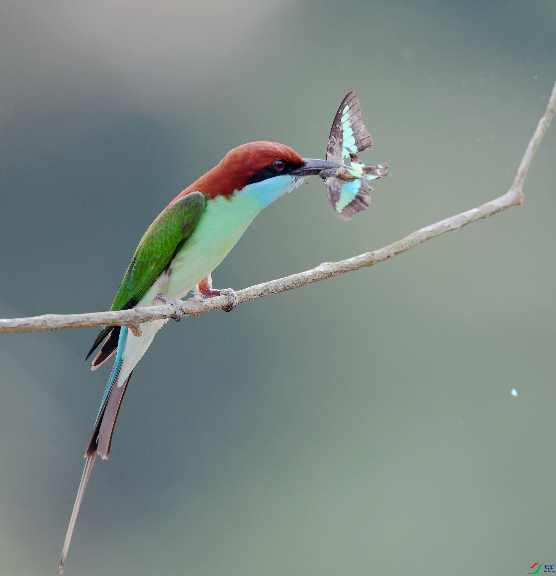 DSC_7061.jpg