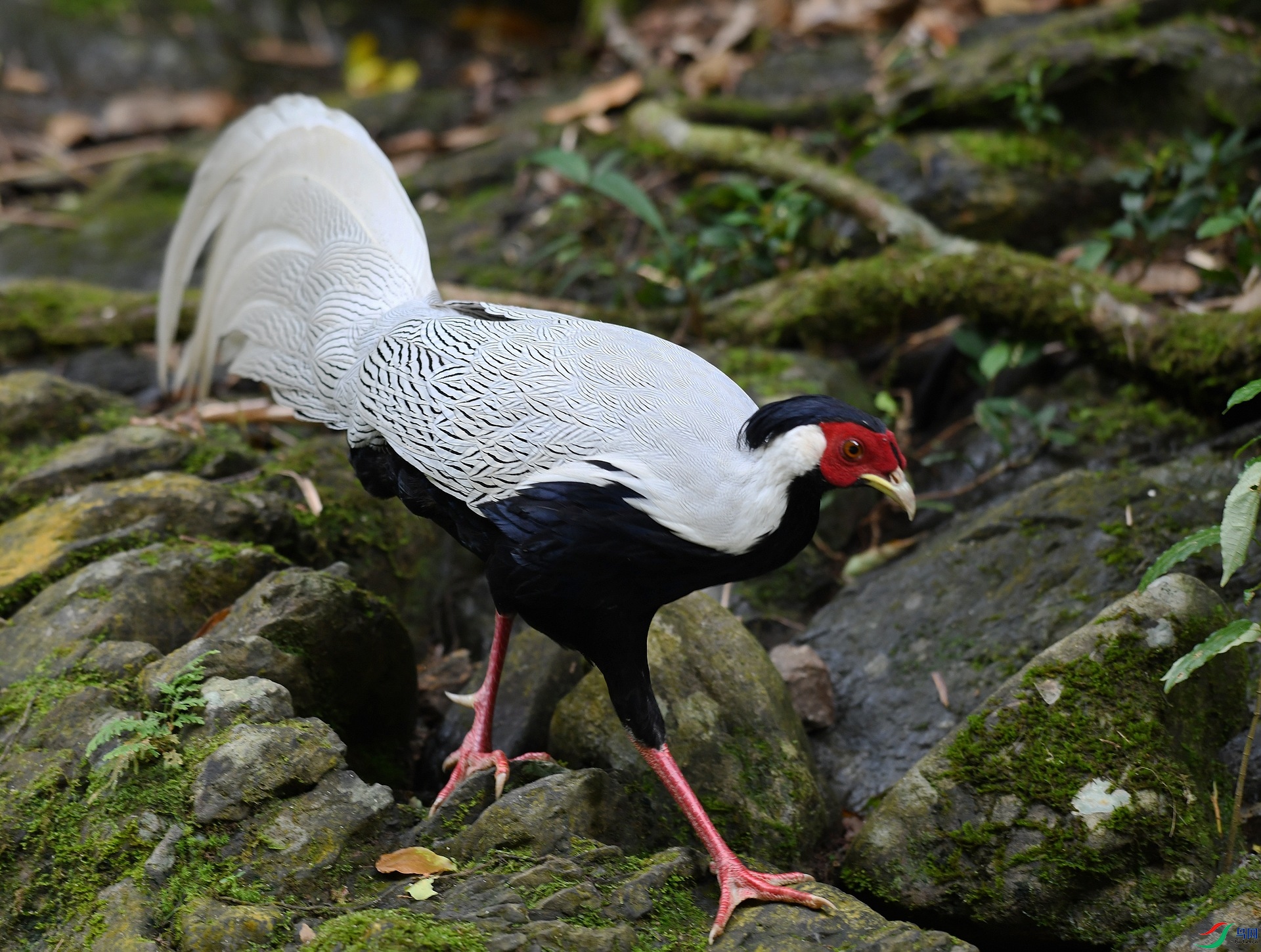 DSC_4869.jpg