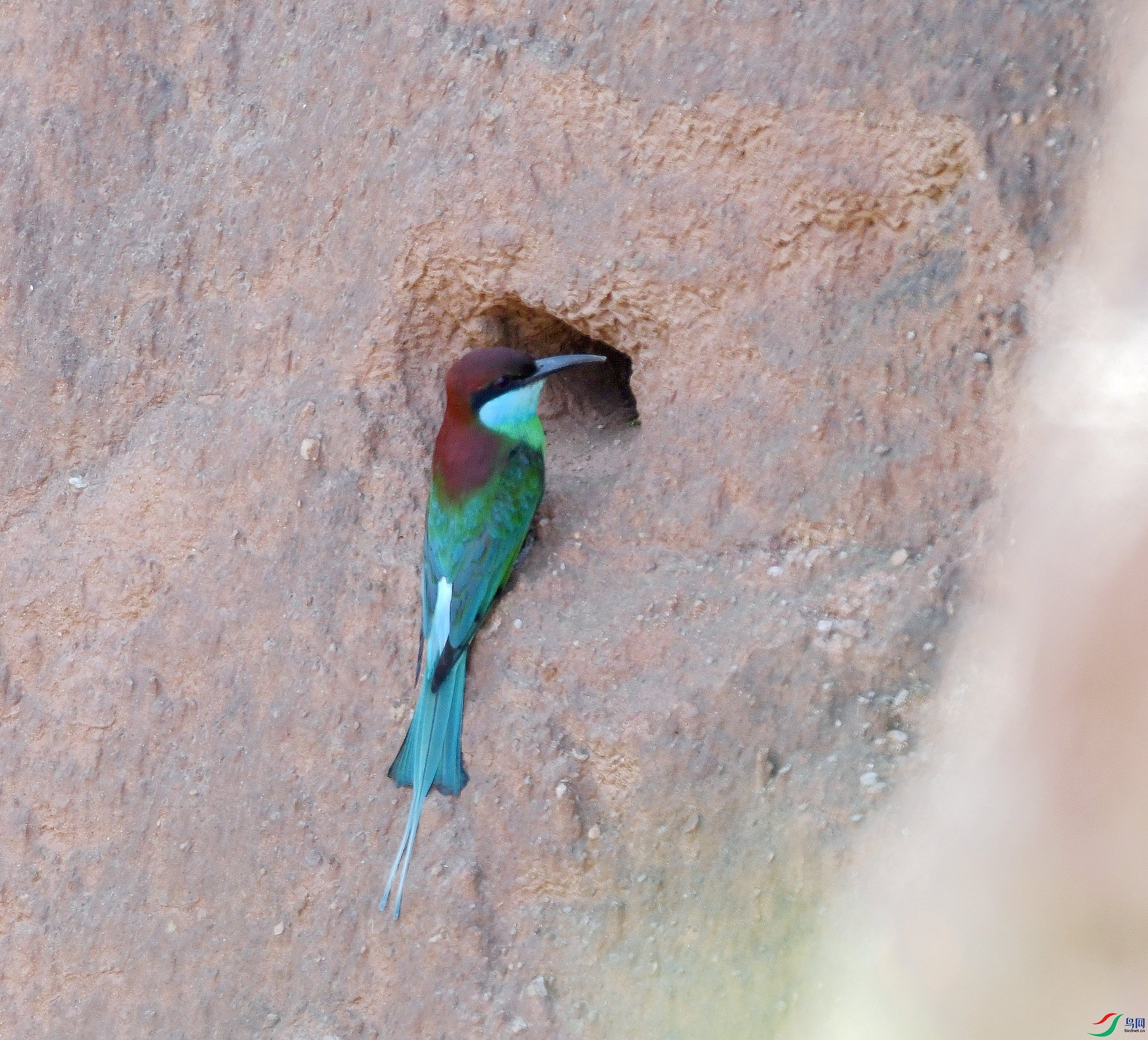 DSC_4615.jpg