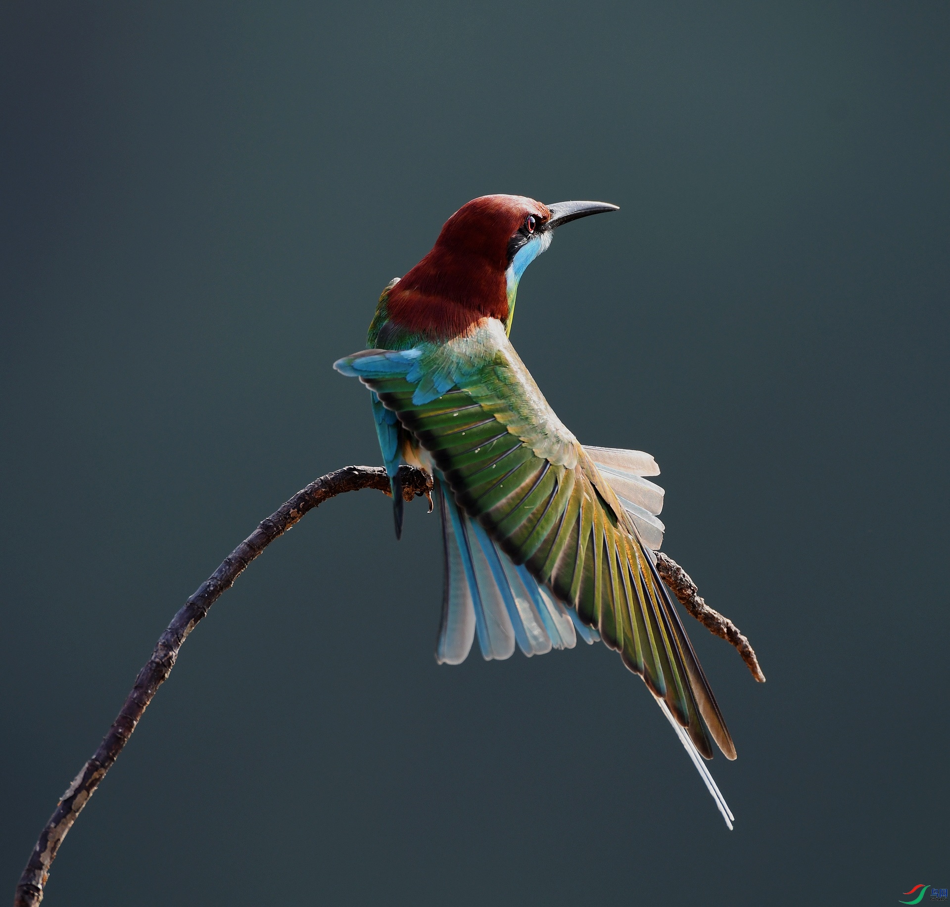 DSC_3951.jpg