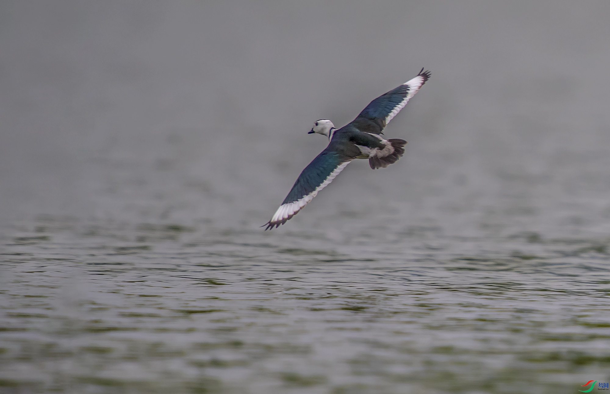 DSC_4622.jpg