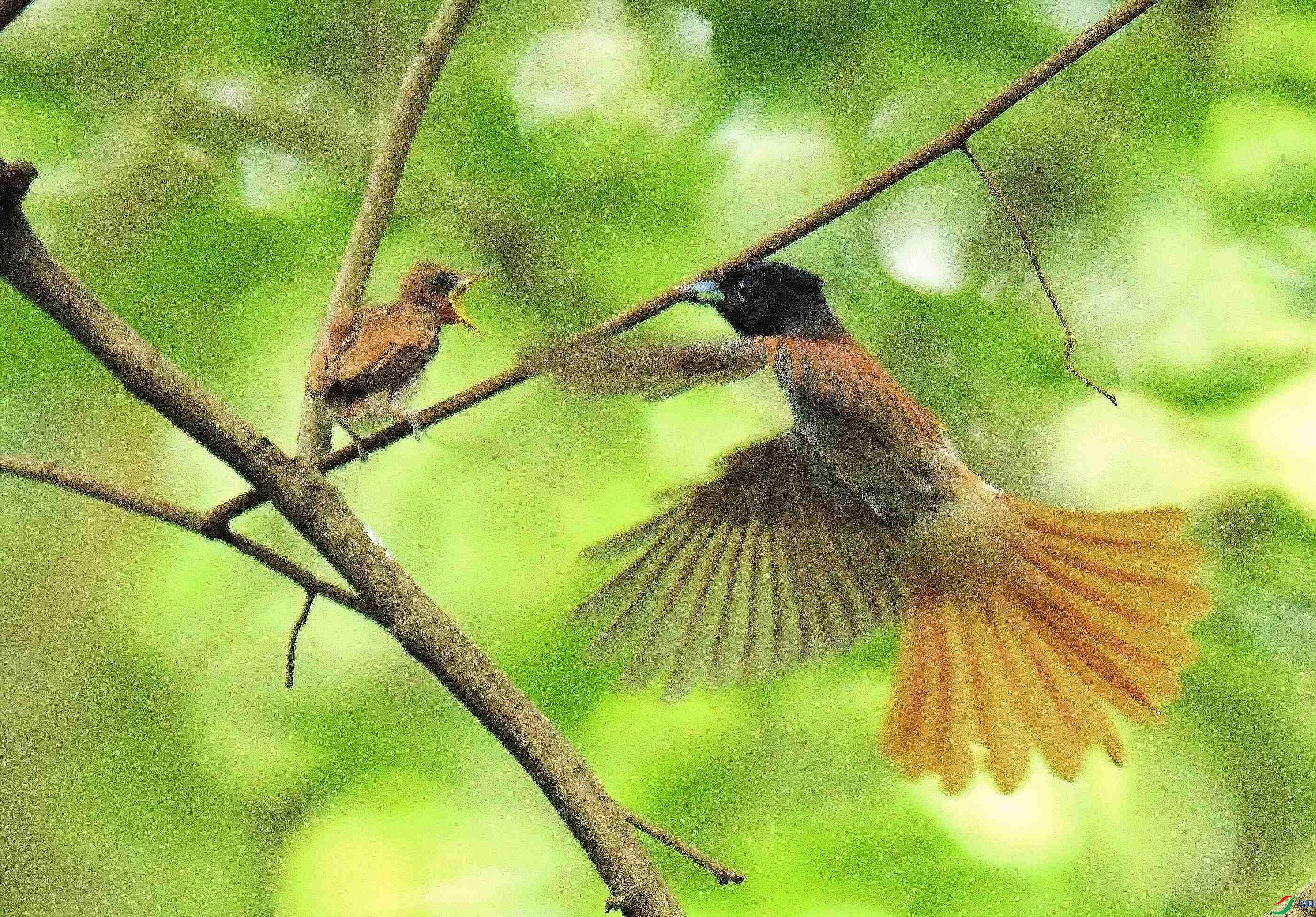 DSC_6587.JPG